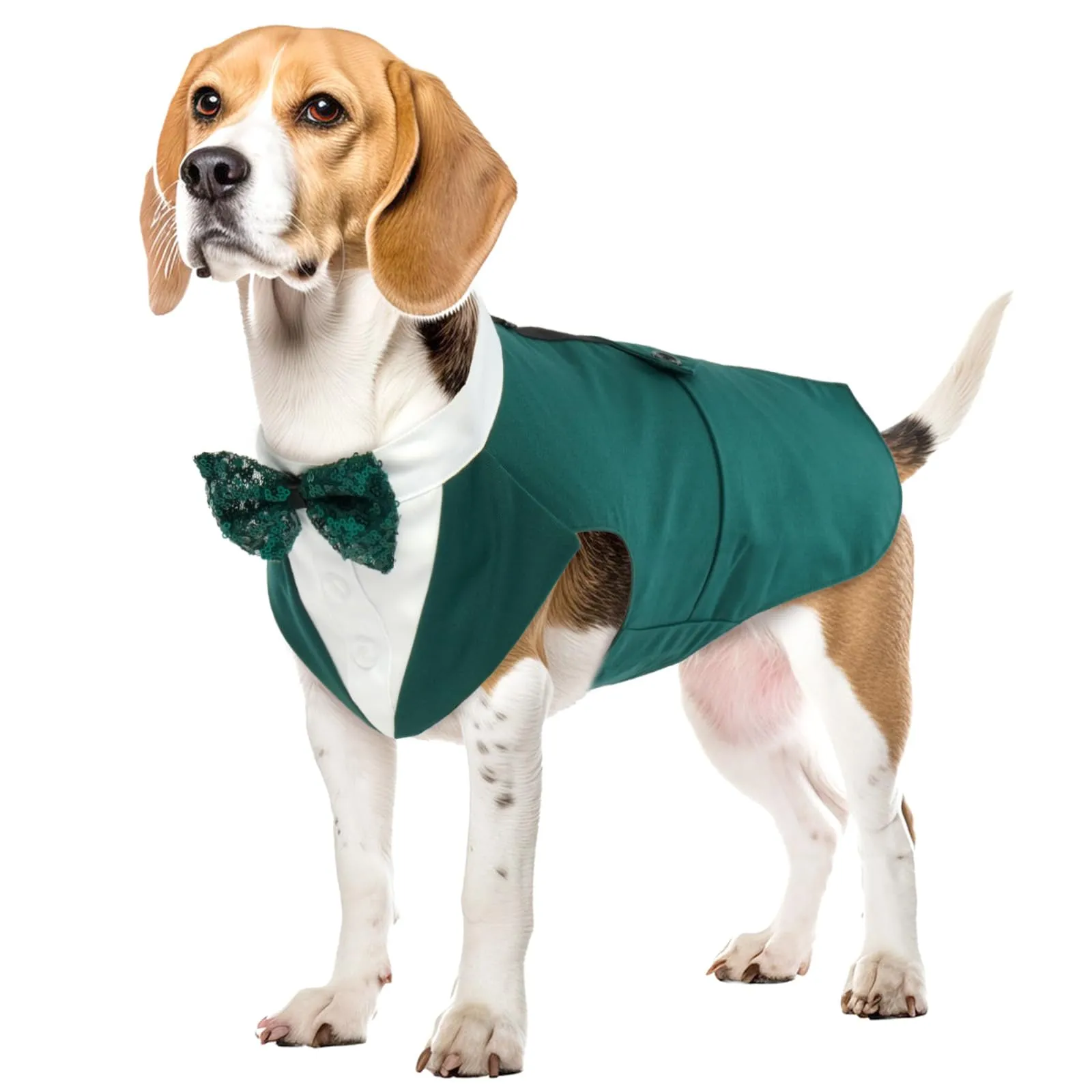 PUMYPOREITY Vestito Matrimonio Elegante per Cani con Papillon, Verde Scuro, XL - immagine 1