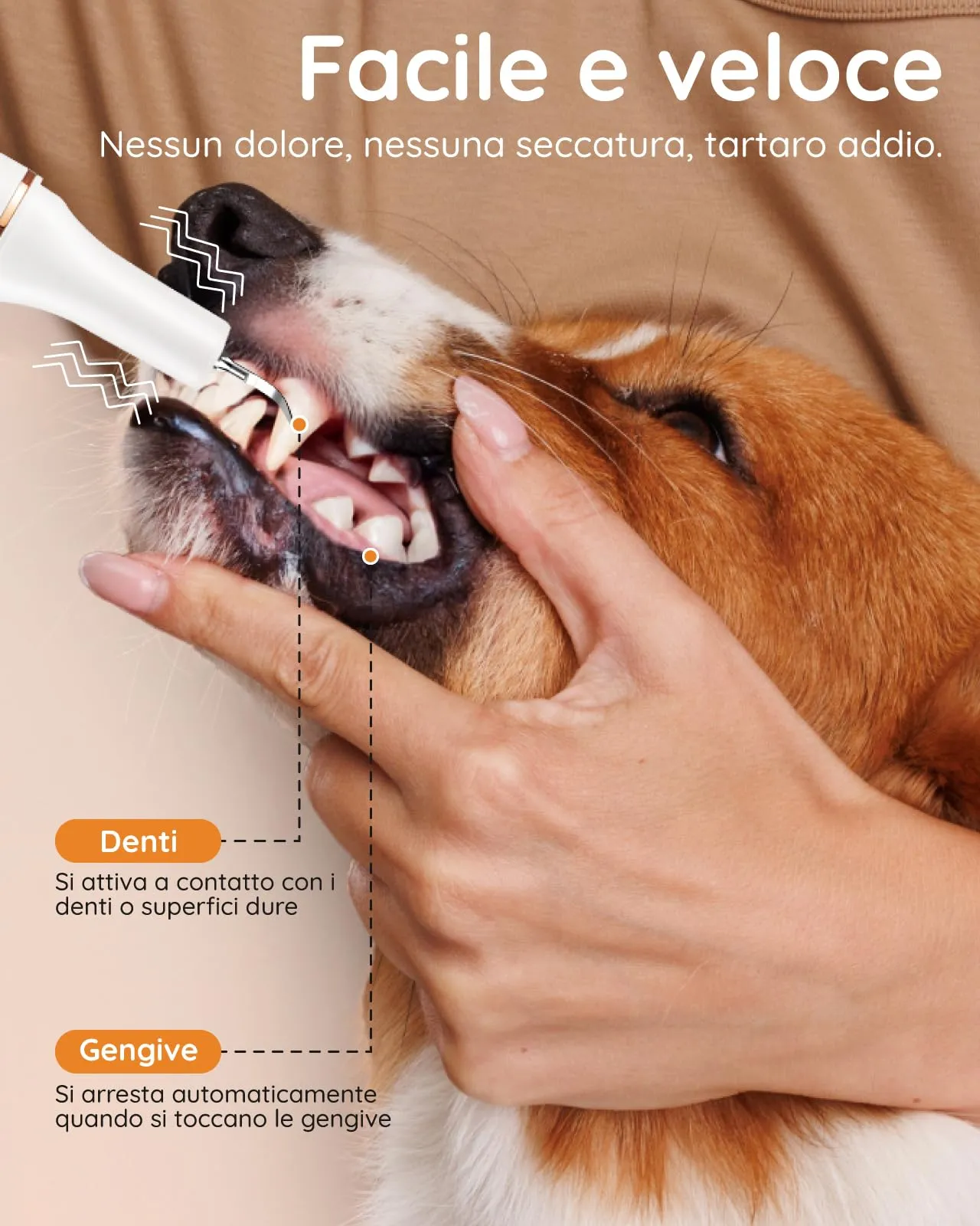 Petbank Kit Pulizia Denti Cane 14-in-1, Spazzolino Elettrico con Luce LED, 5 Modalità, USB Ricaricabile - immagine 2