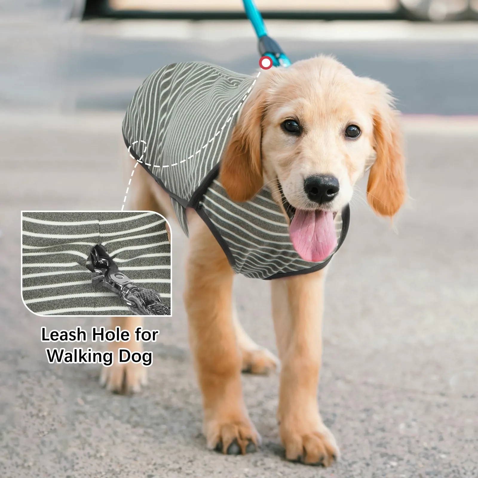 Hjyokuso Cappotto in Pile per Cani a Righe, XXS-XXXL - immagine 4