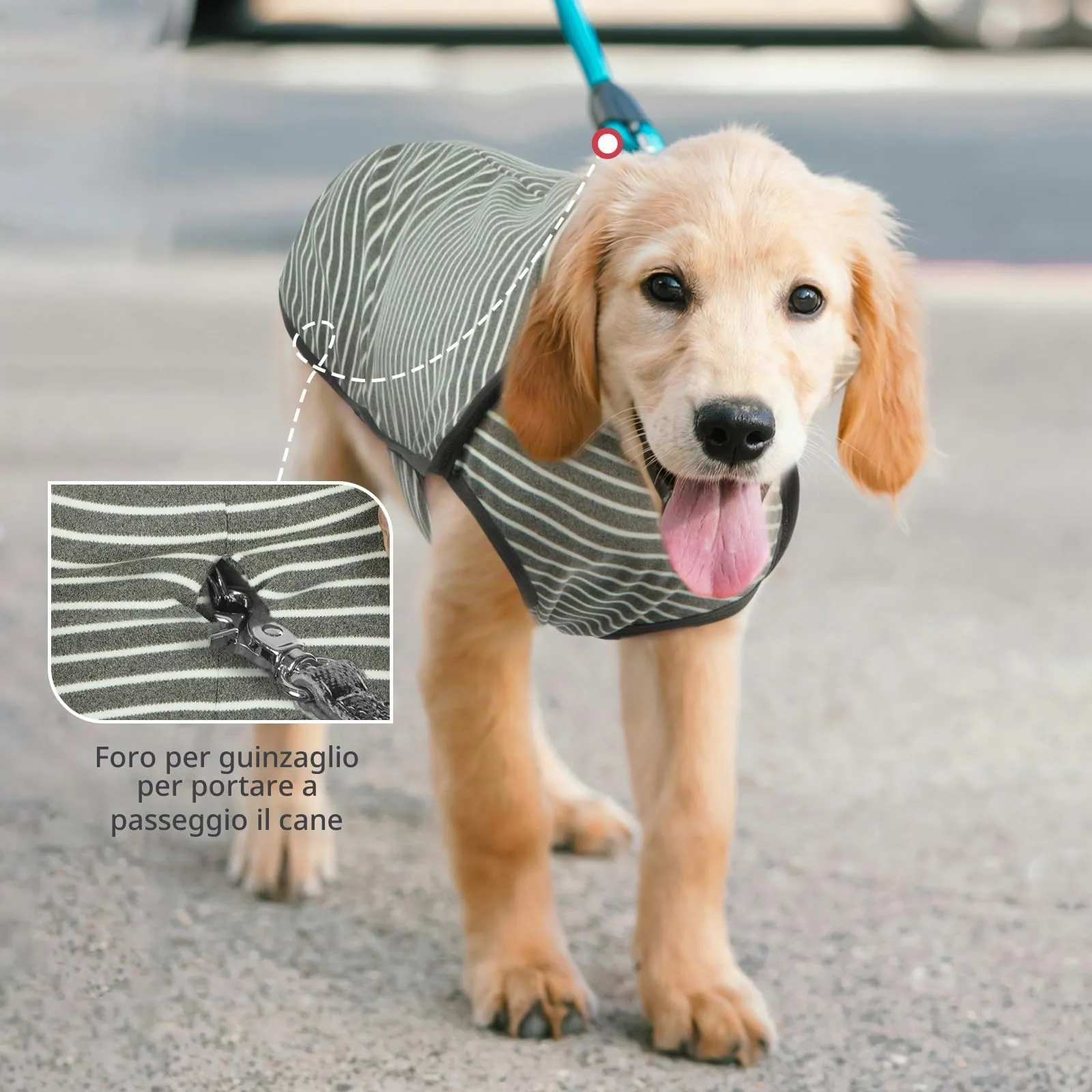 Hjyokuso Cappotto in Pile a Righe per Cani, Maglione Caldo XXS-XXXL - immagine 4