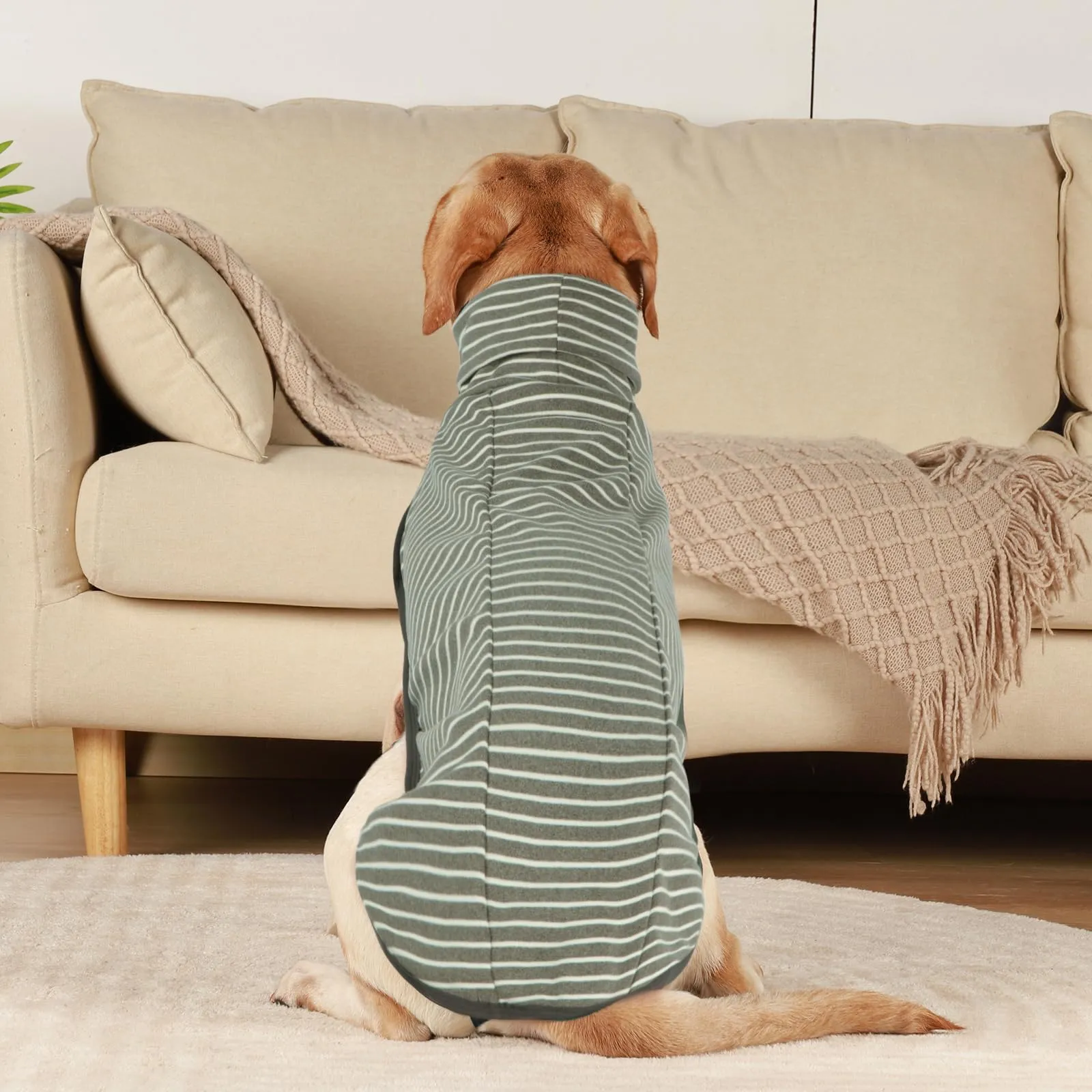 Hjyokuso Cappotto in Pile a Righe per Cani, Maglione Caldo XXS-XXXL - immagine 6