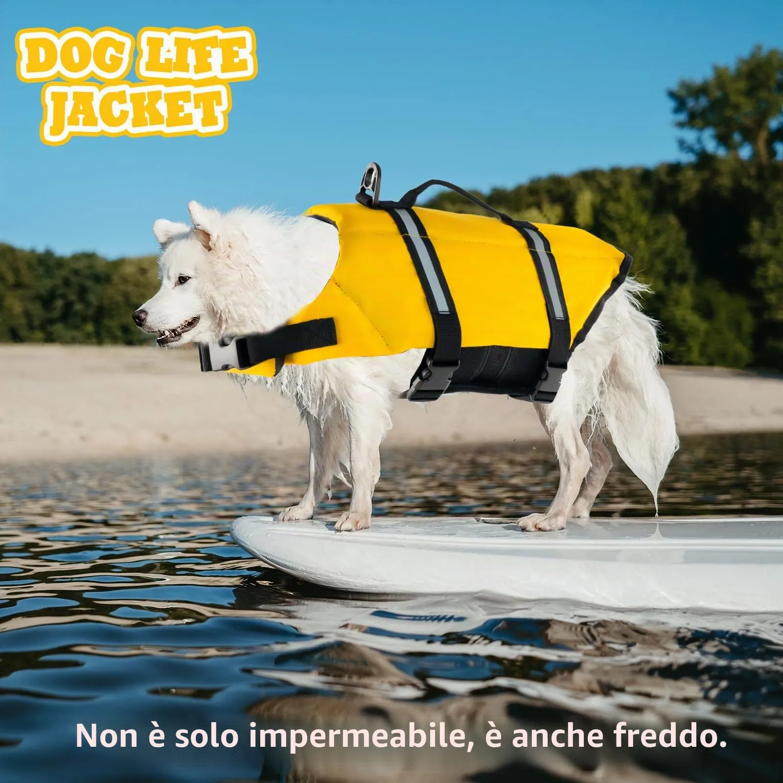 FainFun Giubbotto di Salvataggio per Cani, Giallo, L - immagine 6