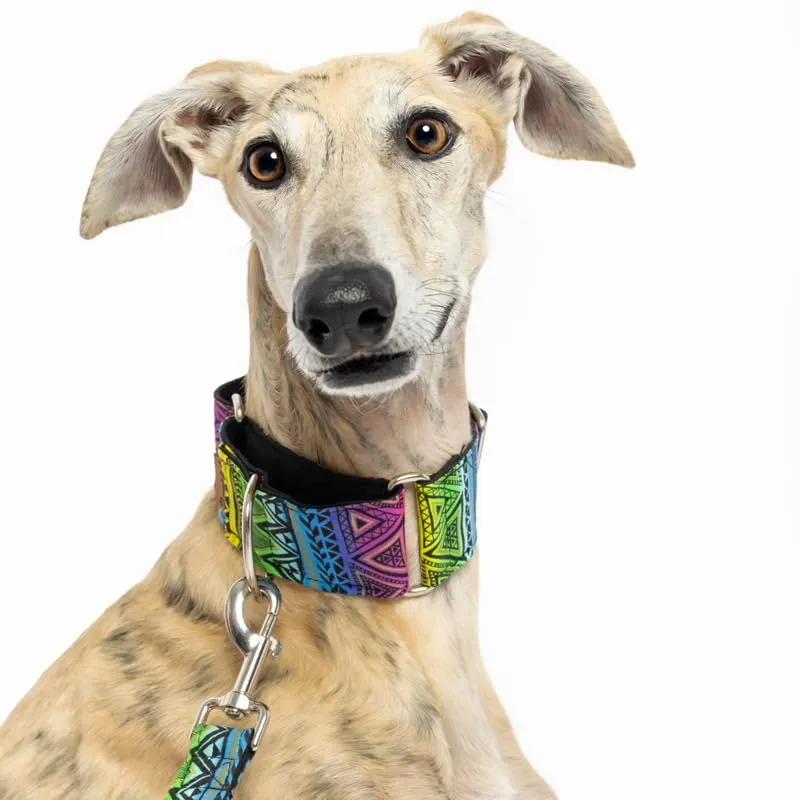candyPet Collare Martingale Kenya, M - immagine 3