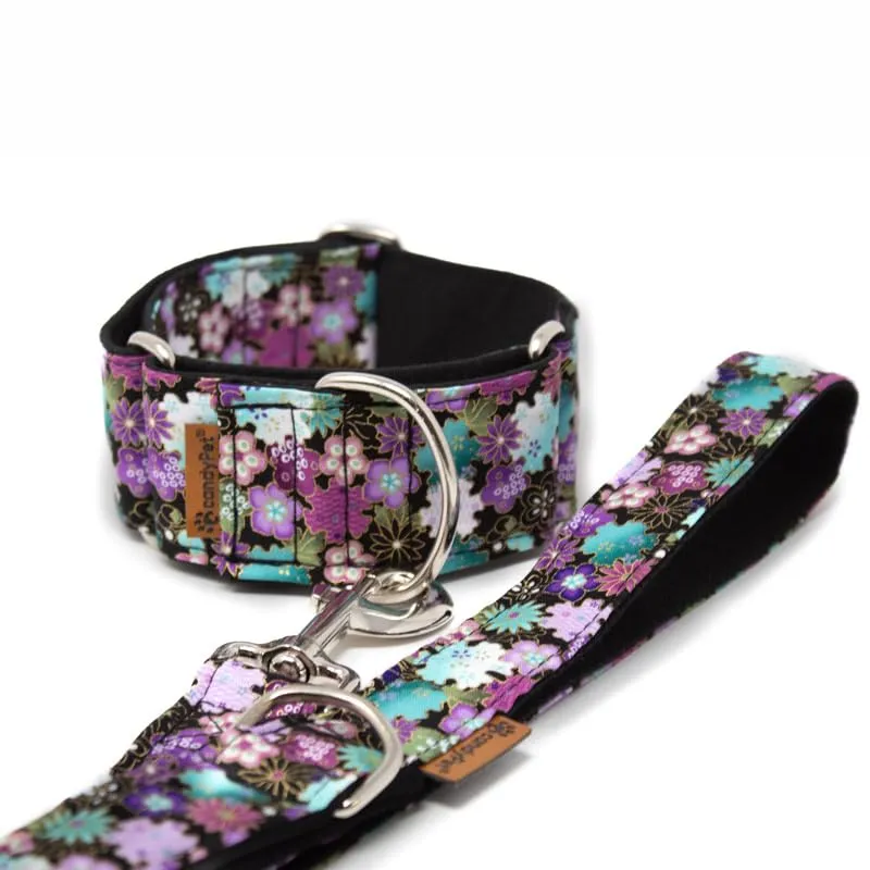 candyPet Collare Martingale per cani, Liberty, L - immagine 2