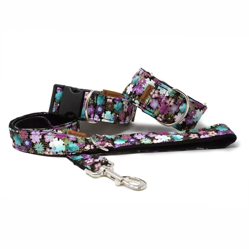 candyPet Collare Martingale per Cani, Liberty, Larghezza 5 cm (30-45 cm) - immagine 2