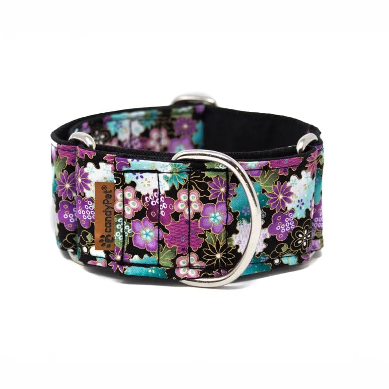 candyPet Collare Martingale per cani, Liberty, M - immagine 1