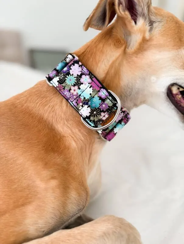 candyPet Collare Martingale per cani, Liberty, M - immagine 4