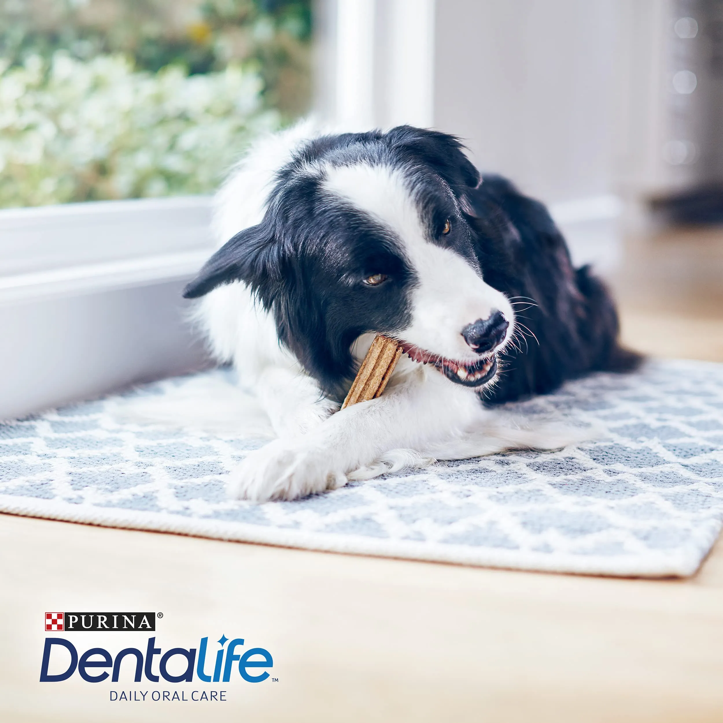 Purina Dentalife Daily Oral Care Snack per Cani, Taglia Medium, 30 Stick (6 confezioni da 5) - immagine 2
