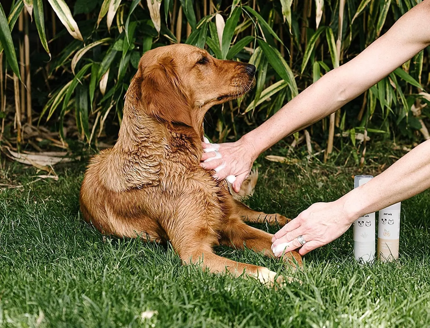Pet Wiz Shampoo a Secco per Animali Domestici Cocco e Avena, Lenitivo e Deodorante senza Risciacquo, PW-C - immagine 4