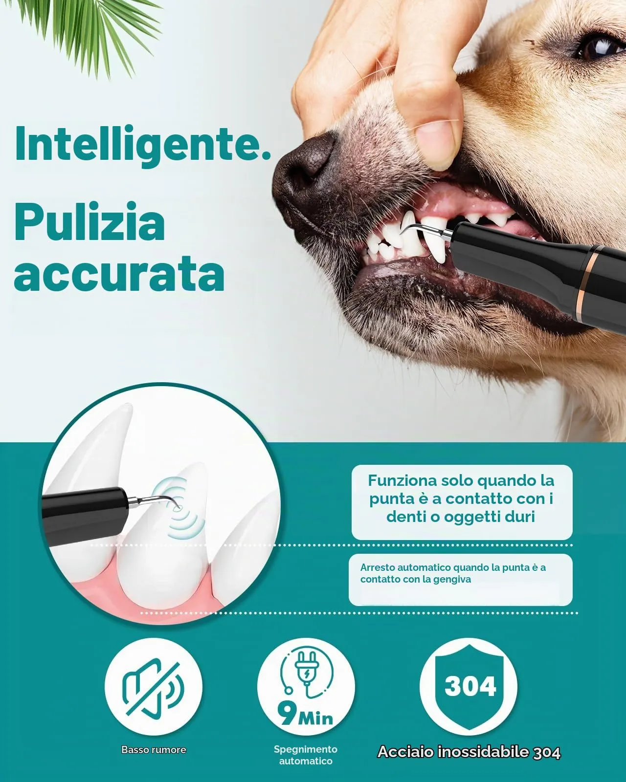 Petbank Kit Pulizia Denti Cane 14-in-1, Spazzolino Ultrasuoni con Luce LED, 5 Modalità, USB Ricaricabile - immagine 3