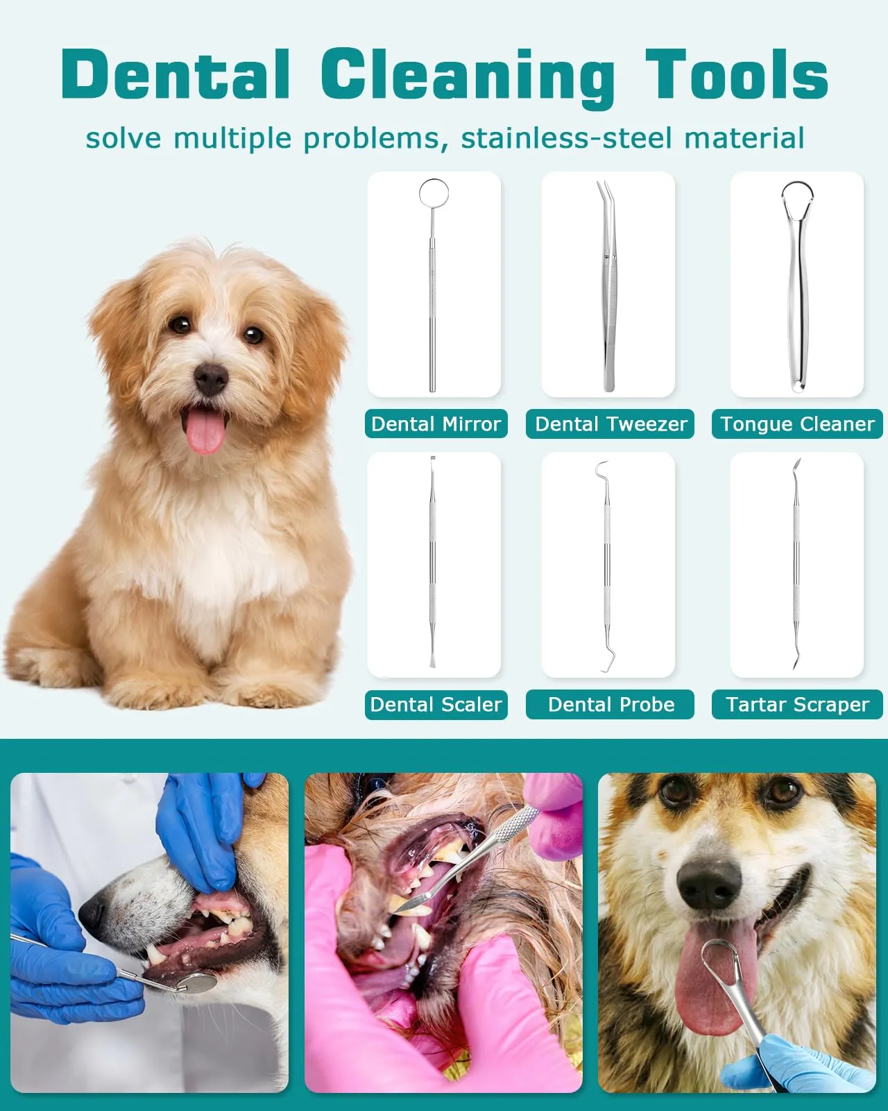 Petbank Kit Pulizia Denti Cane 14-in-1, Spazzolino Ultrasuoni con Luce LED, 5 Modalità, USB Ricaricabile - immagine 5