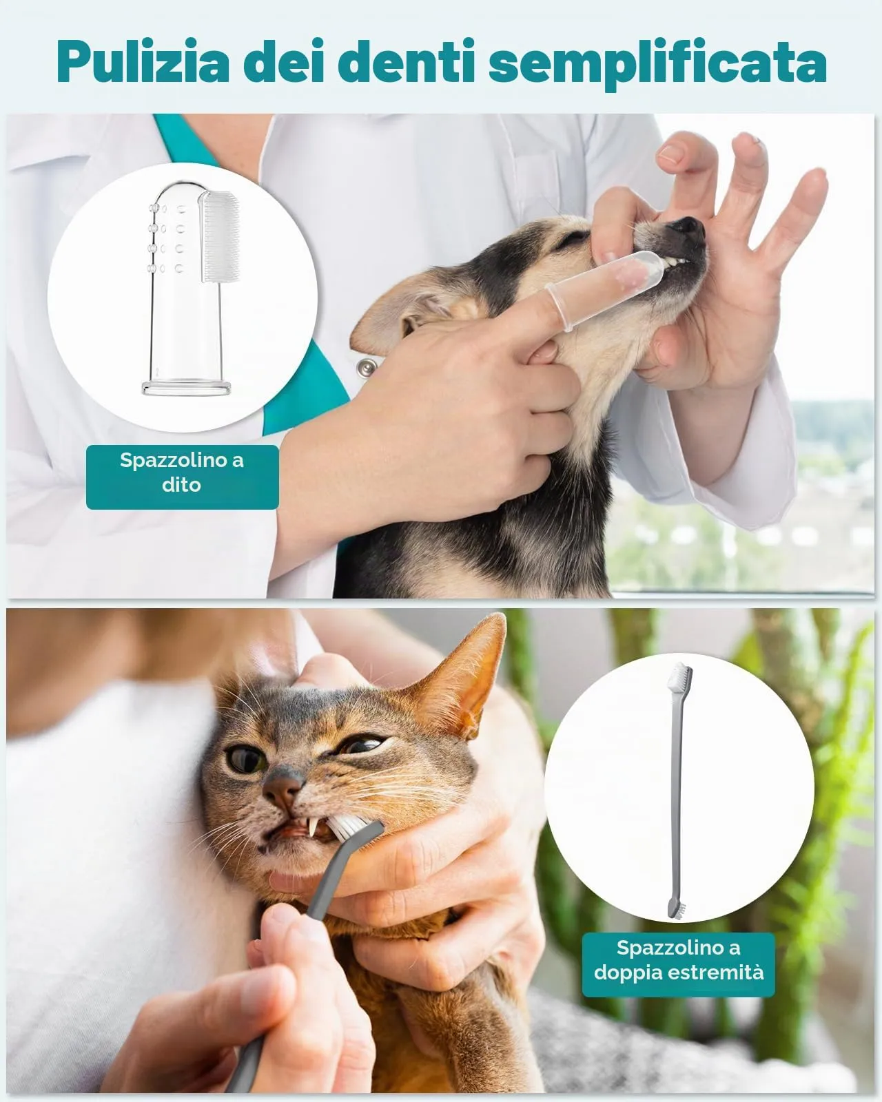 Petbank Kit Pulizia Denti Cane 14-in-1, Spazzolino Ultrasuoni con Luce LED, 5 Modalità, USB Ricaricabile - immagine 6