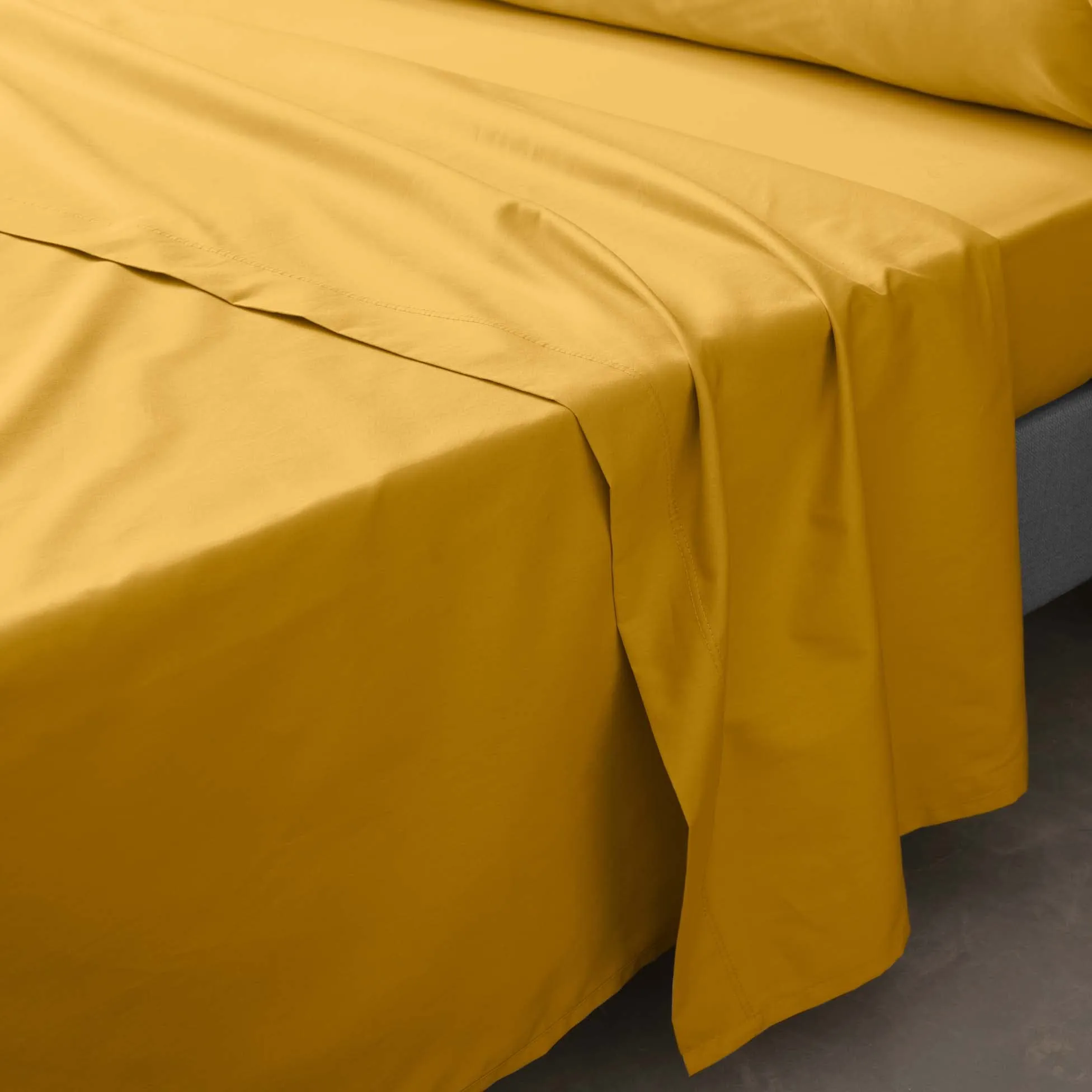 Douceur d'Intérieur Lenzuolo Piano in Percalle di Cotone, Curry, 180 x 290 cm - immagine 3