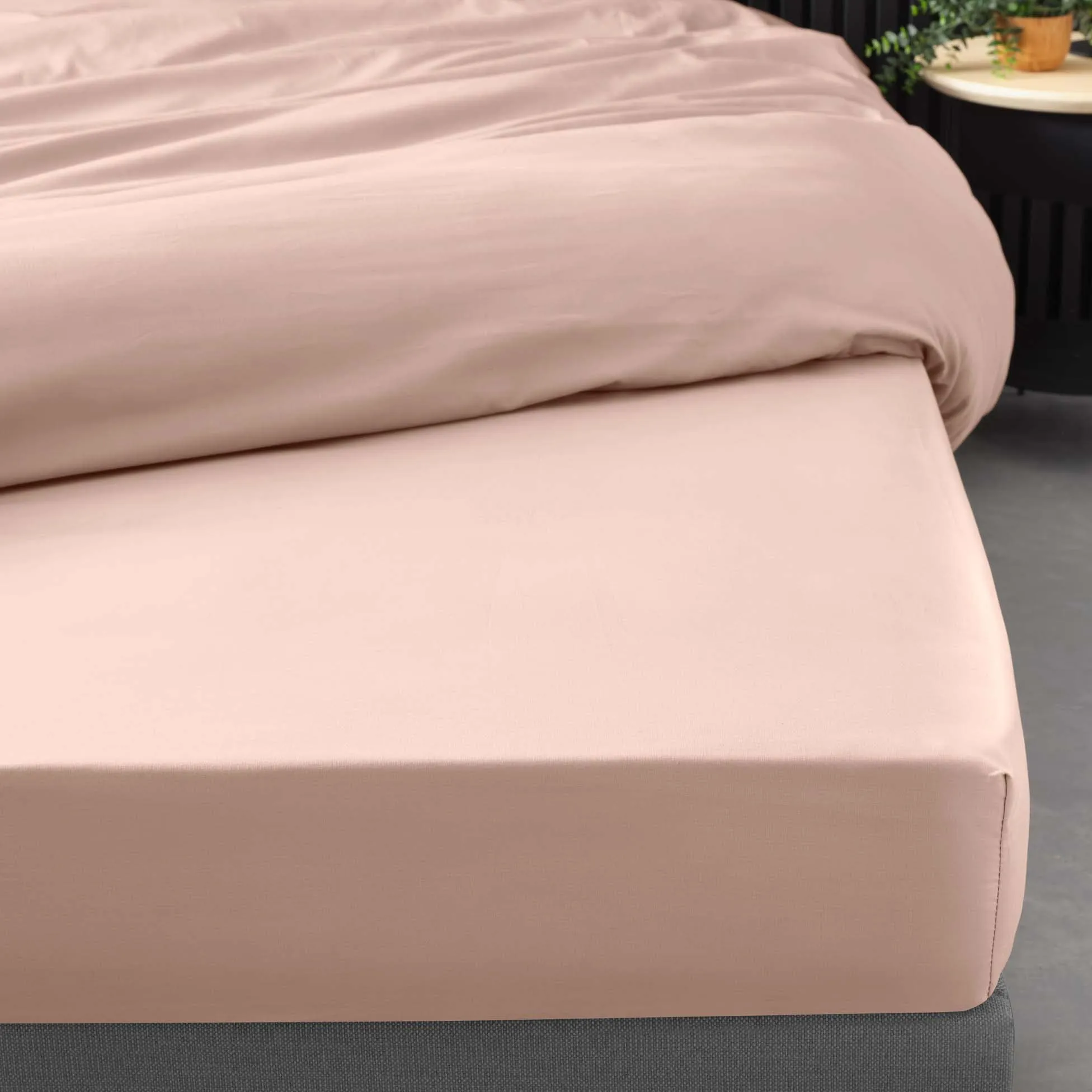 Douceur d'Intérieur Lenzuolo con Angoli in Percalle di Cotone, 180 x 200 cm, Rosa Antica - immagine 4