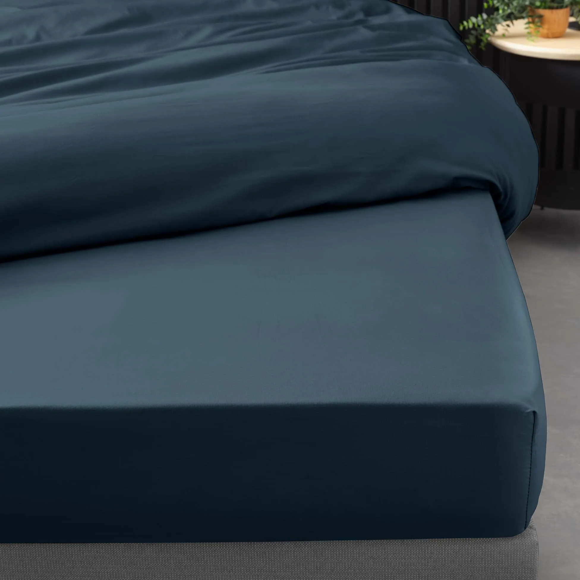 Douceur d'Intérieur Lenzuolo con angoli elasticizzati 140 x 190 cm Percaline Blu Notte in Cotone - immagine 4