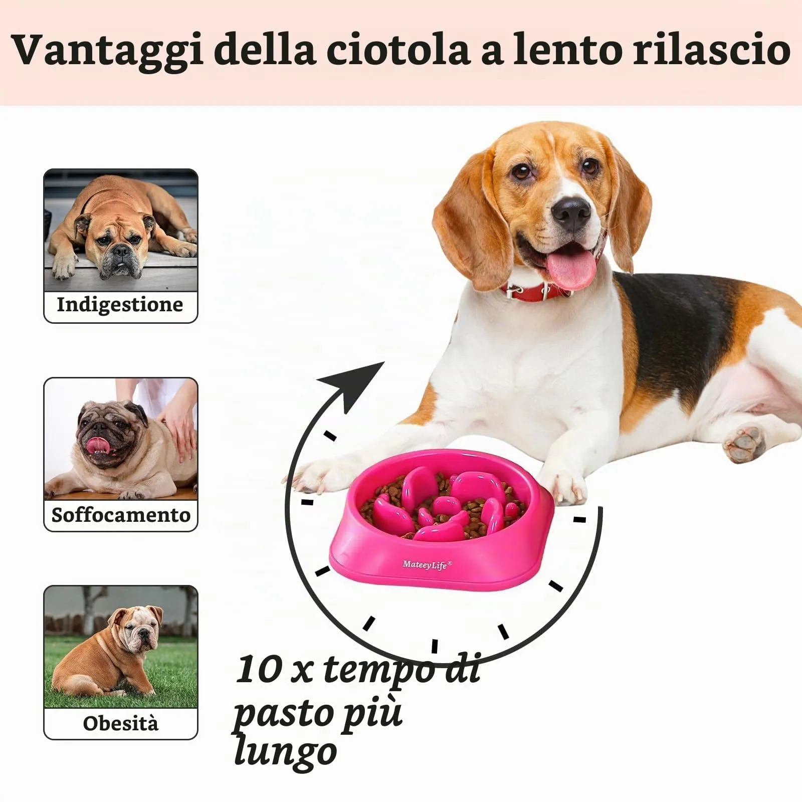 MateeyLife Ciotole per cani con alimentazione lenta, 2 pezzi, antiscivolo, taglia Media - immagine 2