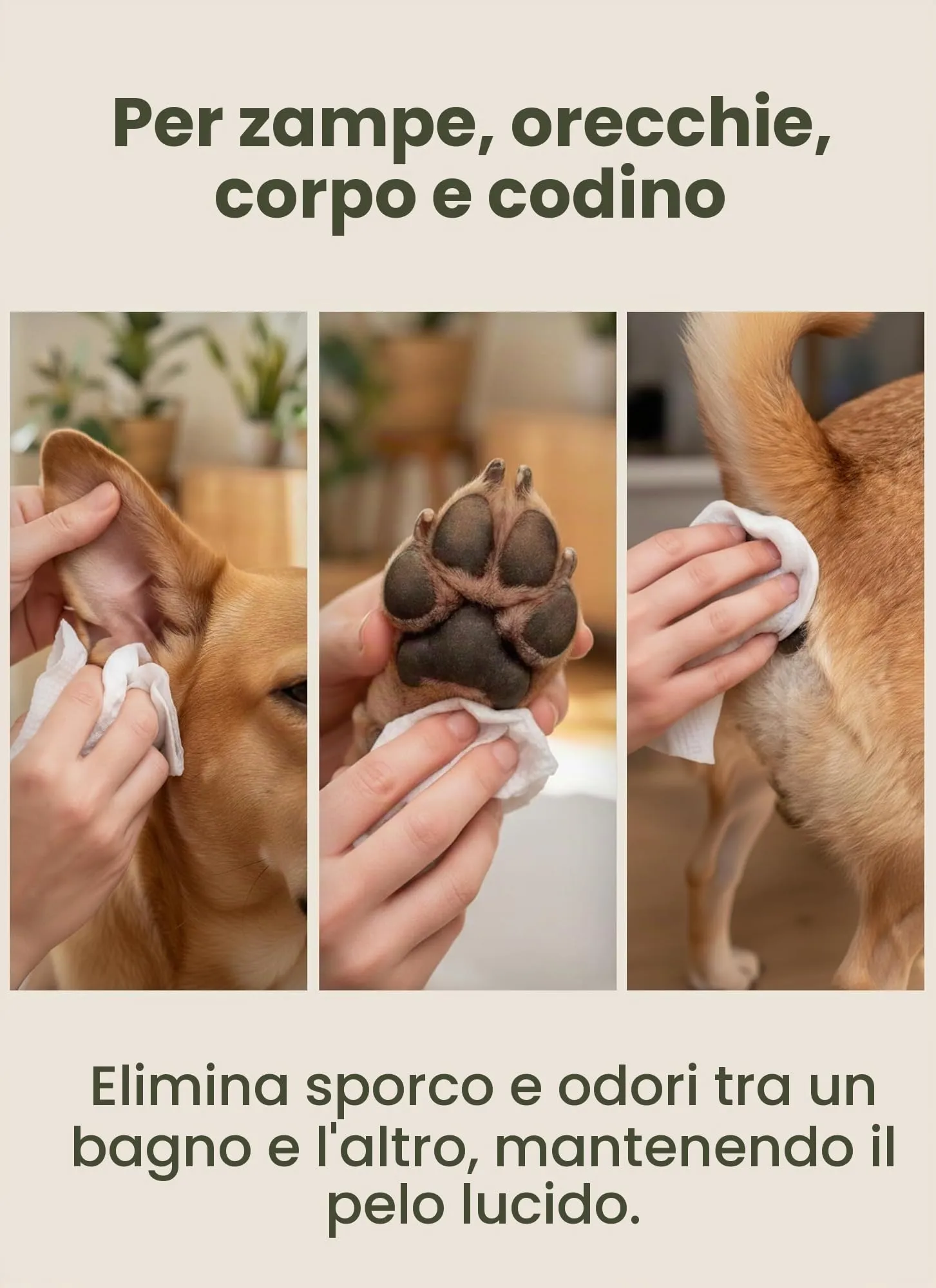 Pogi's Pet Supplies Salviette da Viaggio per Cani al Tè Verde, 240 Pezzi - immagine 7