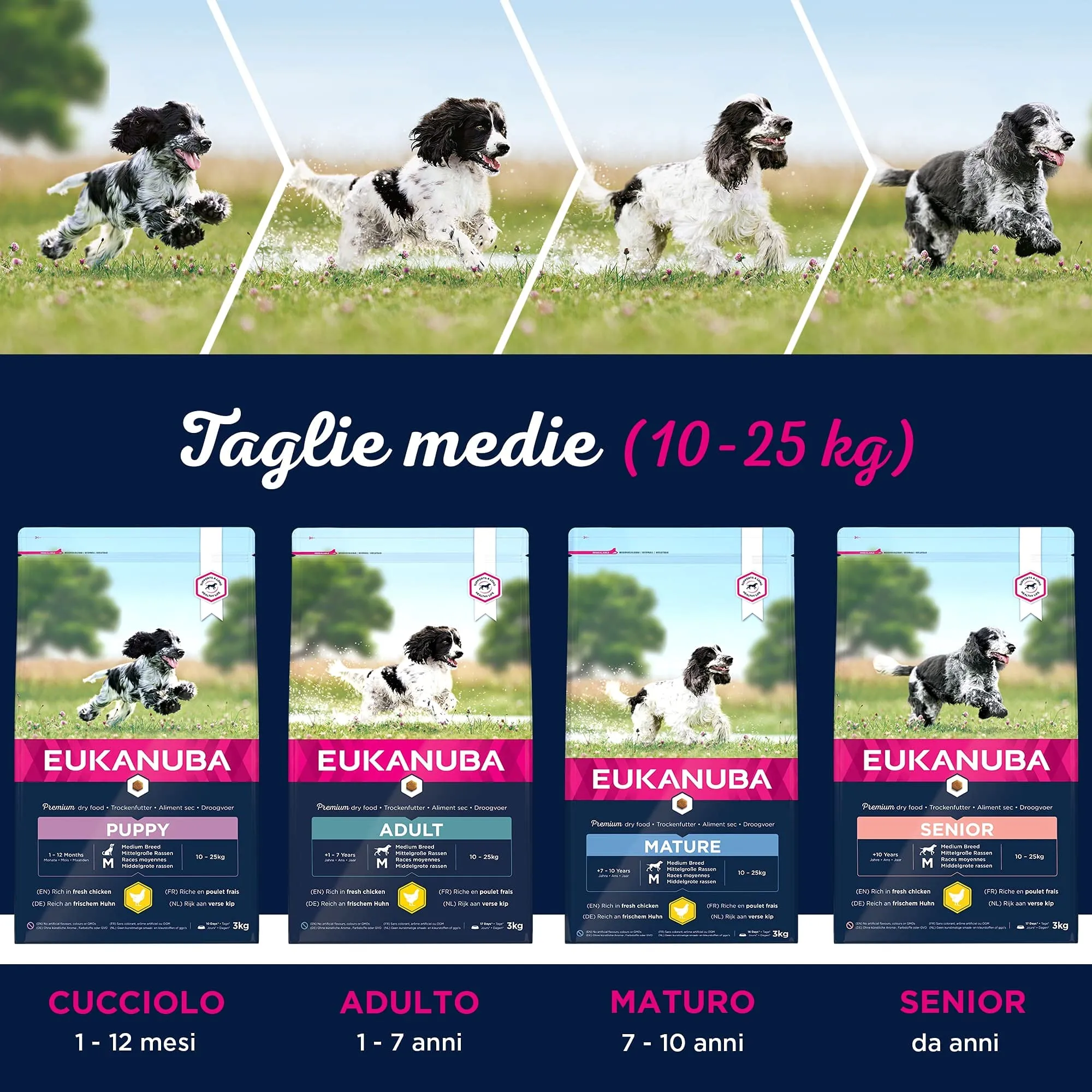 Eukanuba Cibo per cuccioli con pollo fresco per razze di taglia media, 3 kg - immagine 7