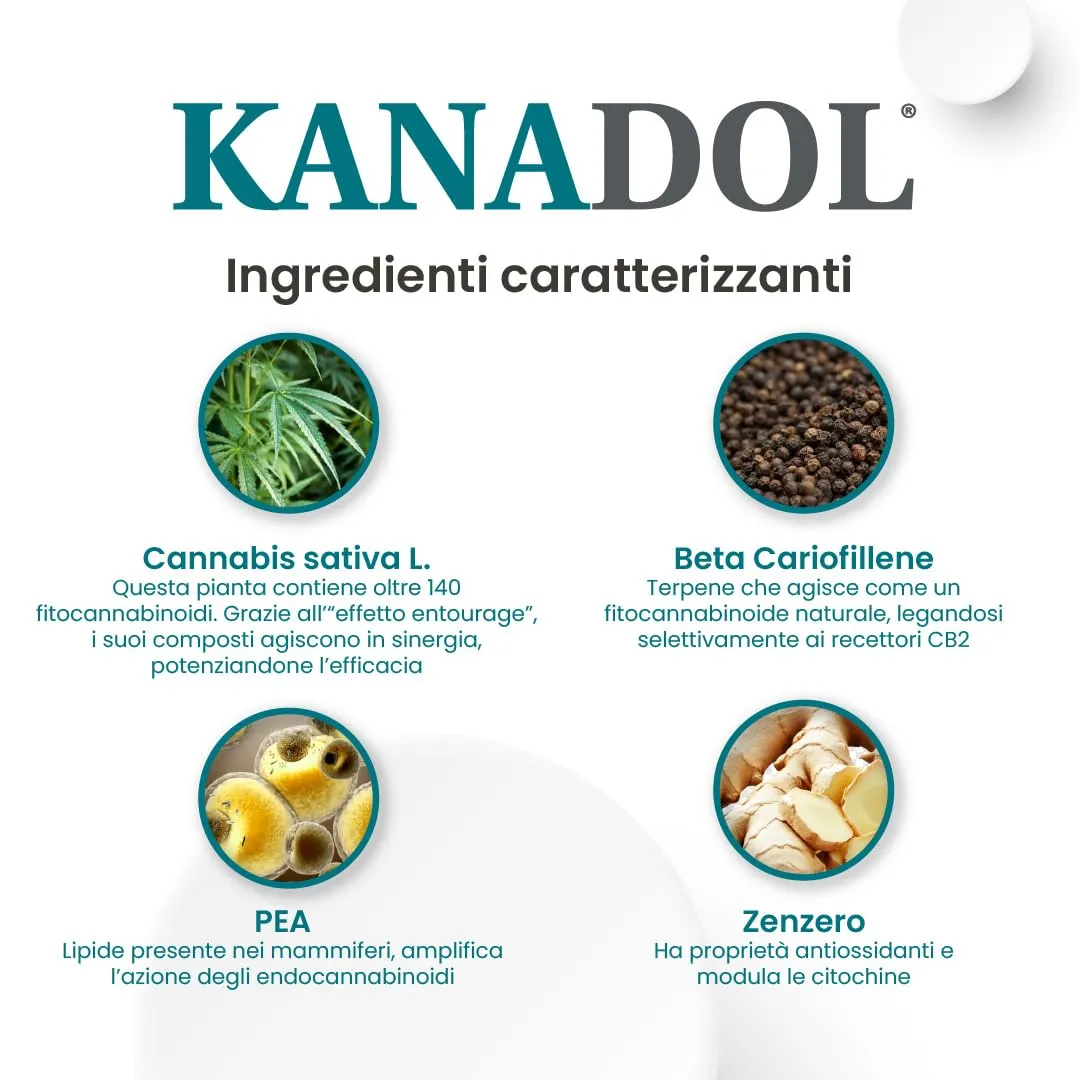 Aurora Biofarma Kanadol, 30 Compresse per Cani e Gatti - immagine 5