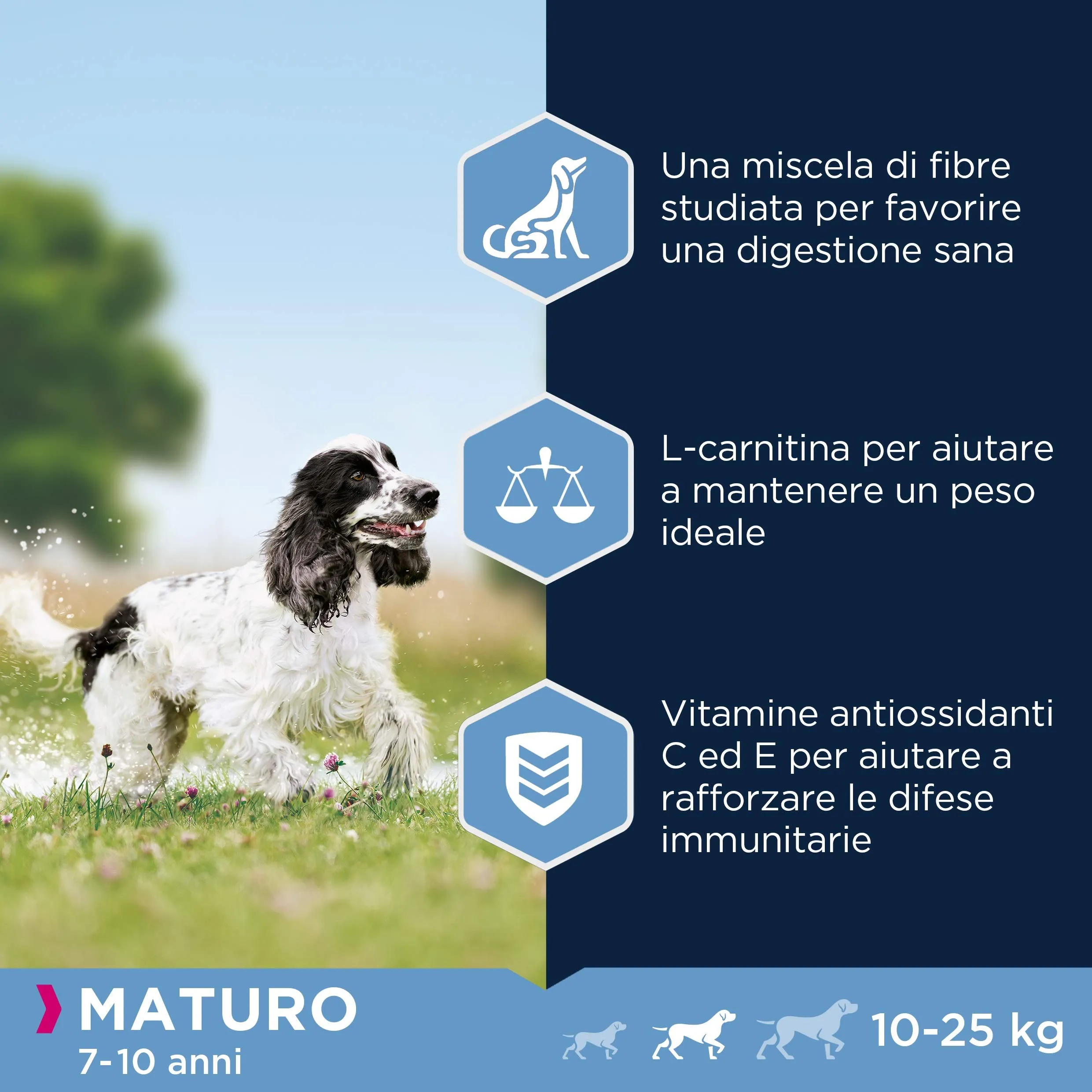 Eukanuba Cibo per cani al pollo fresco per razze medie mature, 3 kg - immagine 5
