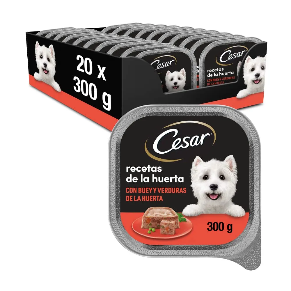 Cesar Cibo Umido in Gelatina per Cani, Bue e Verdure, 20 x 300g - immagine 1