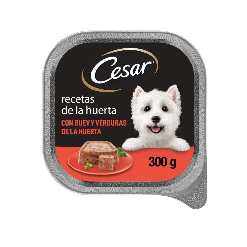 Cesar Cibo Umido in Gelatina per Cani, Bue e Verdure, 20 x 300g - immagine 2