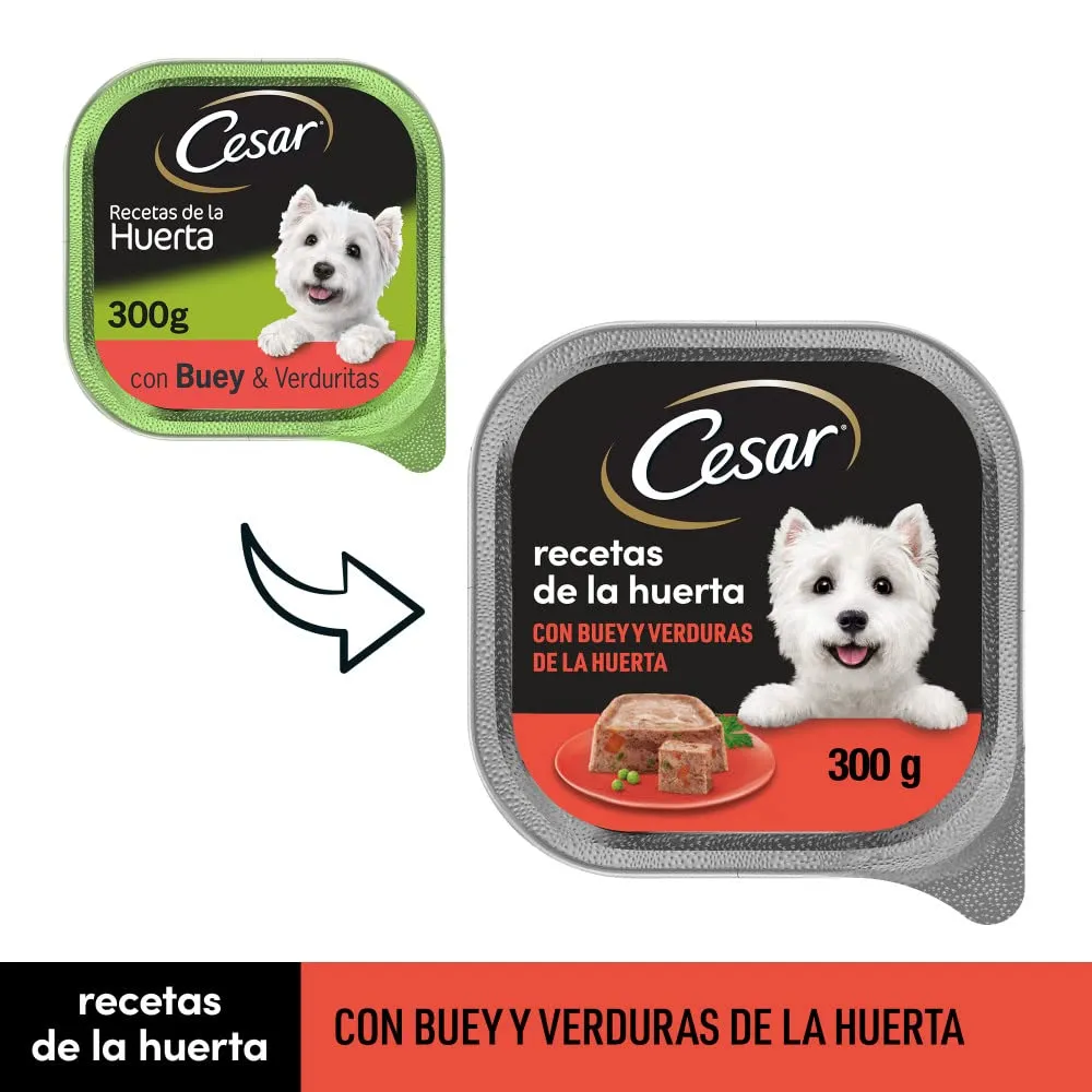 Cesar Cibo Umido in Gelatina per Cani, Bue e Verdure, 20 x 300g - immagine 7