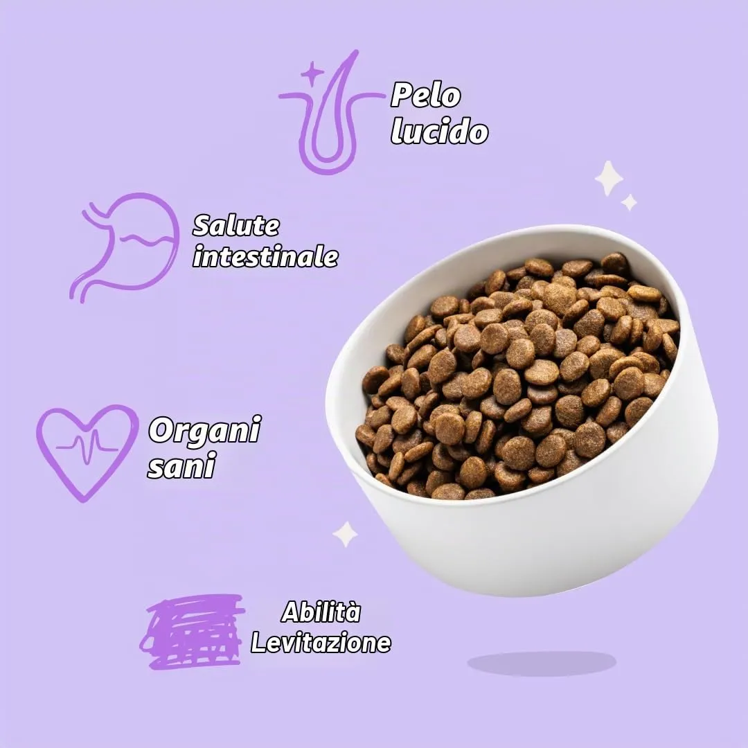 Edgard & Cooper Crocchette per Cuccioli Salmone e Tacchino, Senza Cereali, 7kg - immagine 6