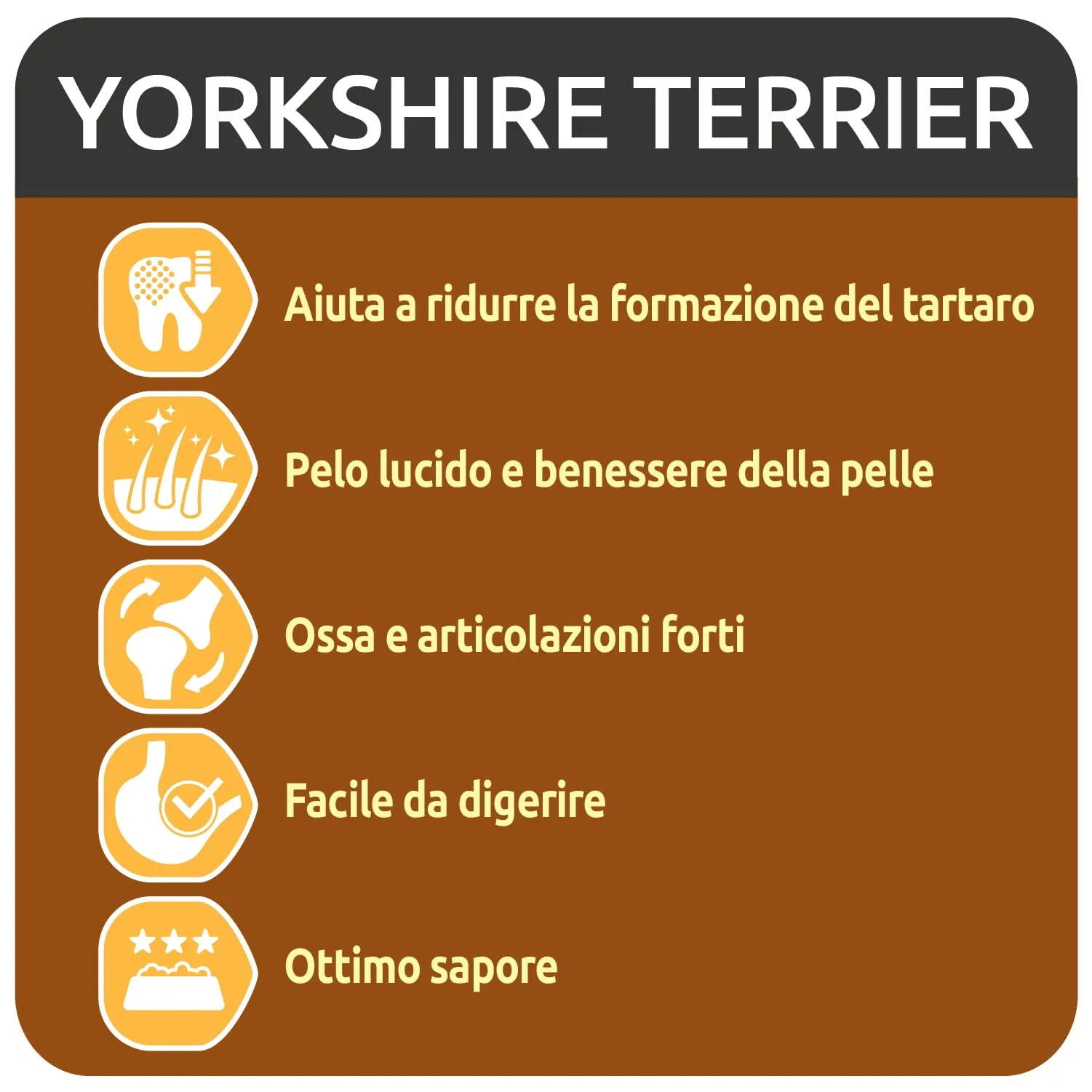 Ultima Taglia Piccola Yorkshire Terrier Pollo, 8 x 800g (6,4kg) - immagine 3