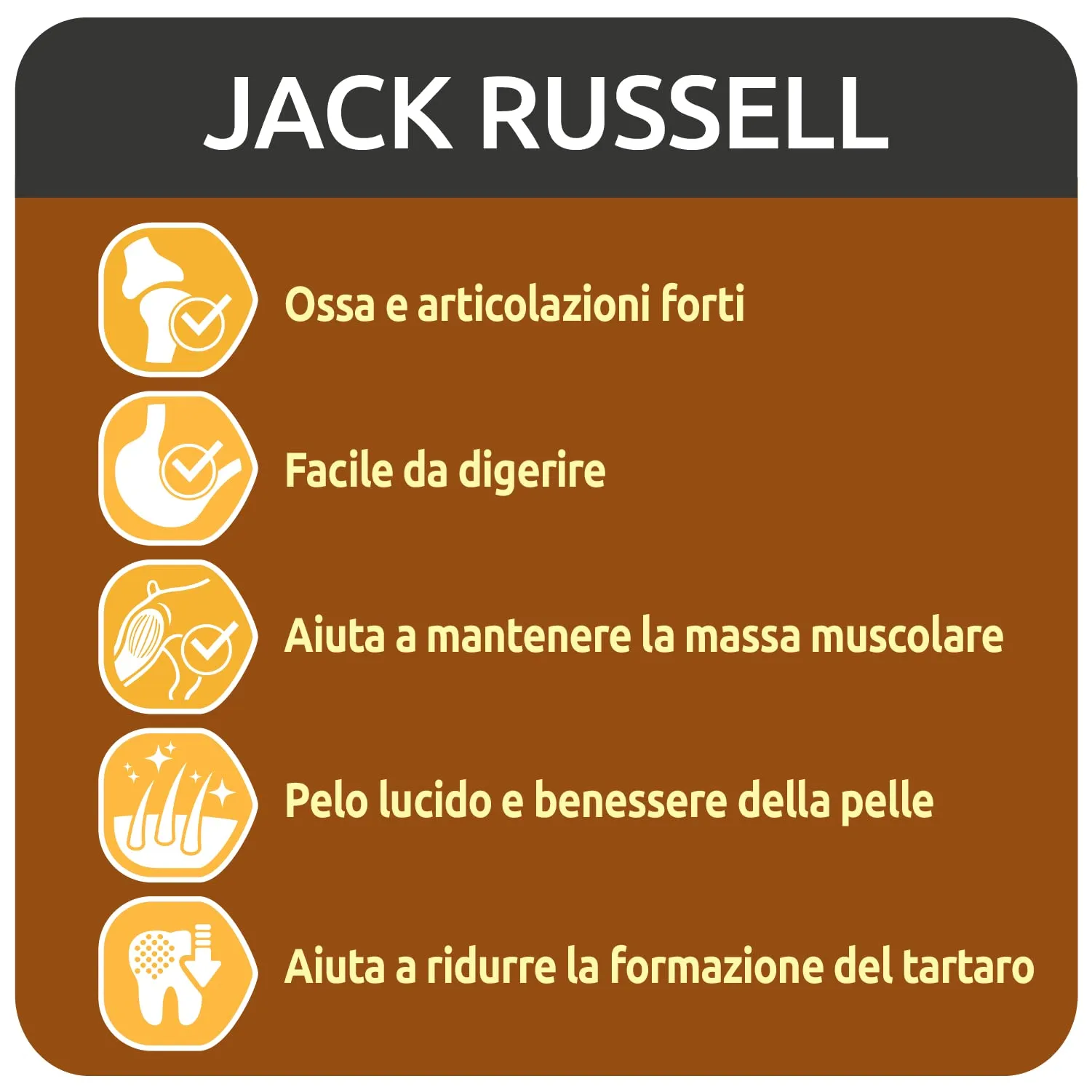 Ultima Taglia Piccola Jack Russell Pollo Crocchette per cani 8 x 800g (6,4kg) - immagine 3