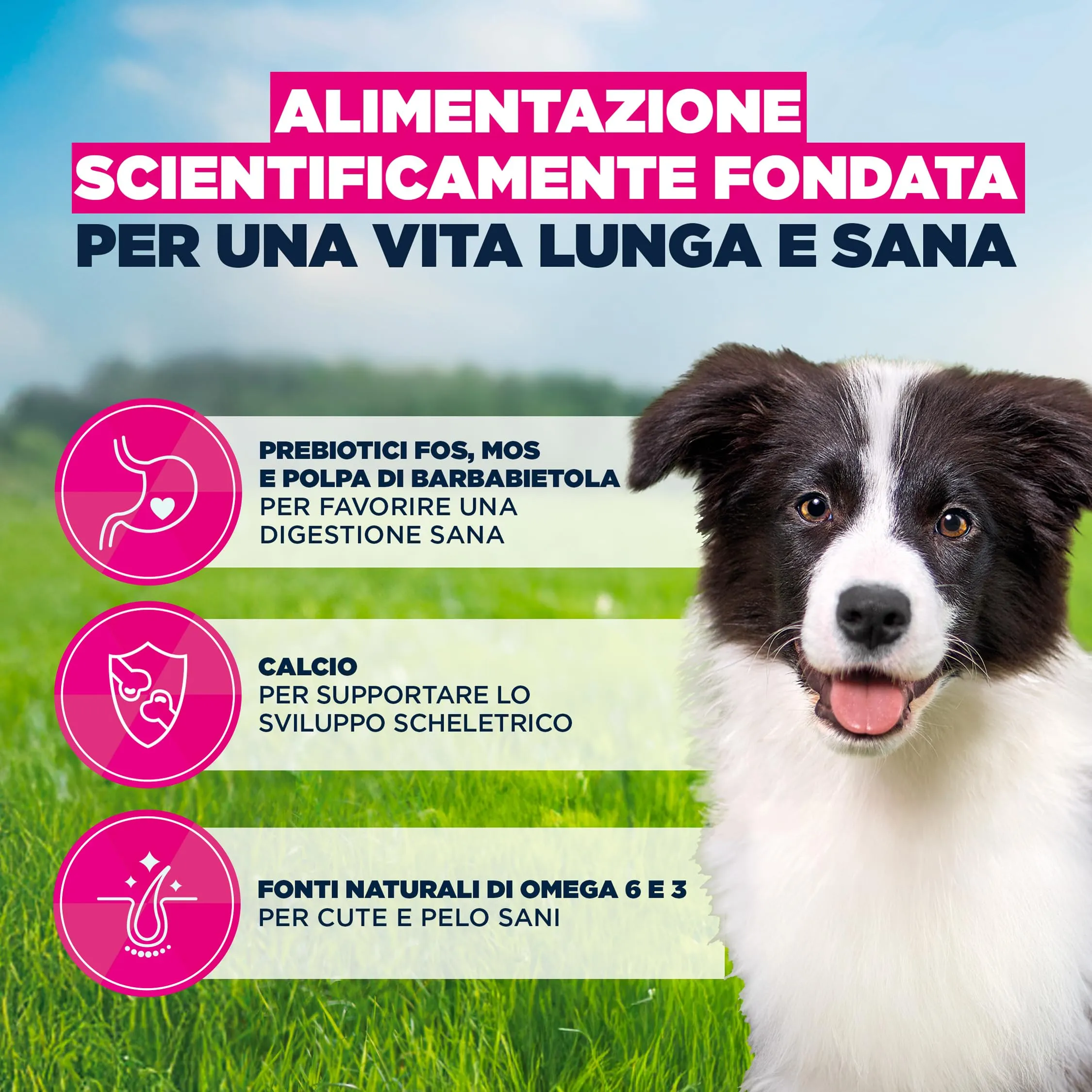 Eukanuba Crocchette per cuccioli taglia media con pollo fresco, 3 kg - immagine 5