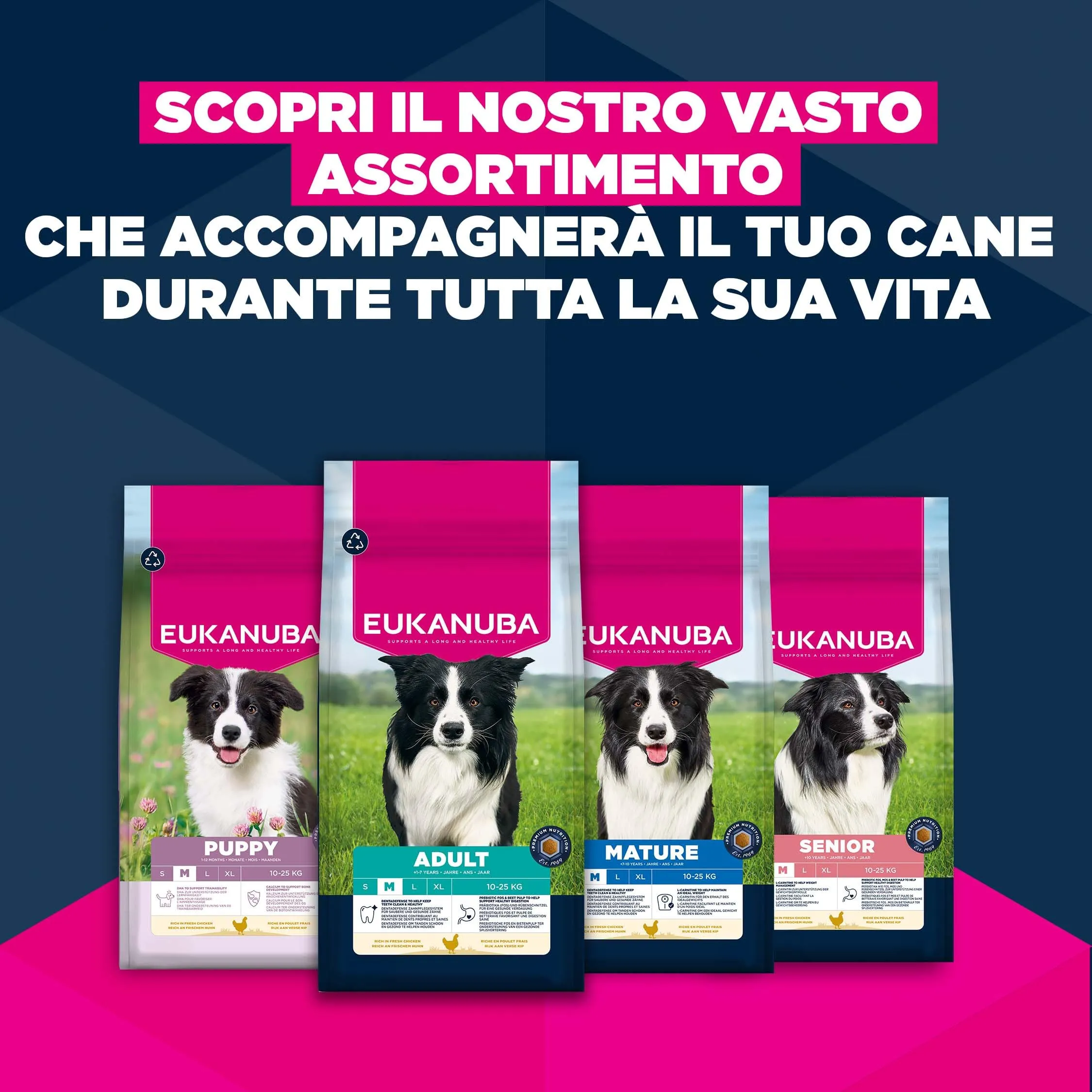 Eukanuba Crocchette per cani anziani taglia media con pollo fresco, 3 kg - immagine 10