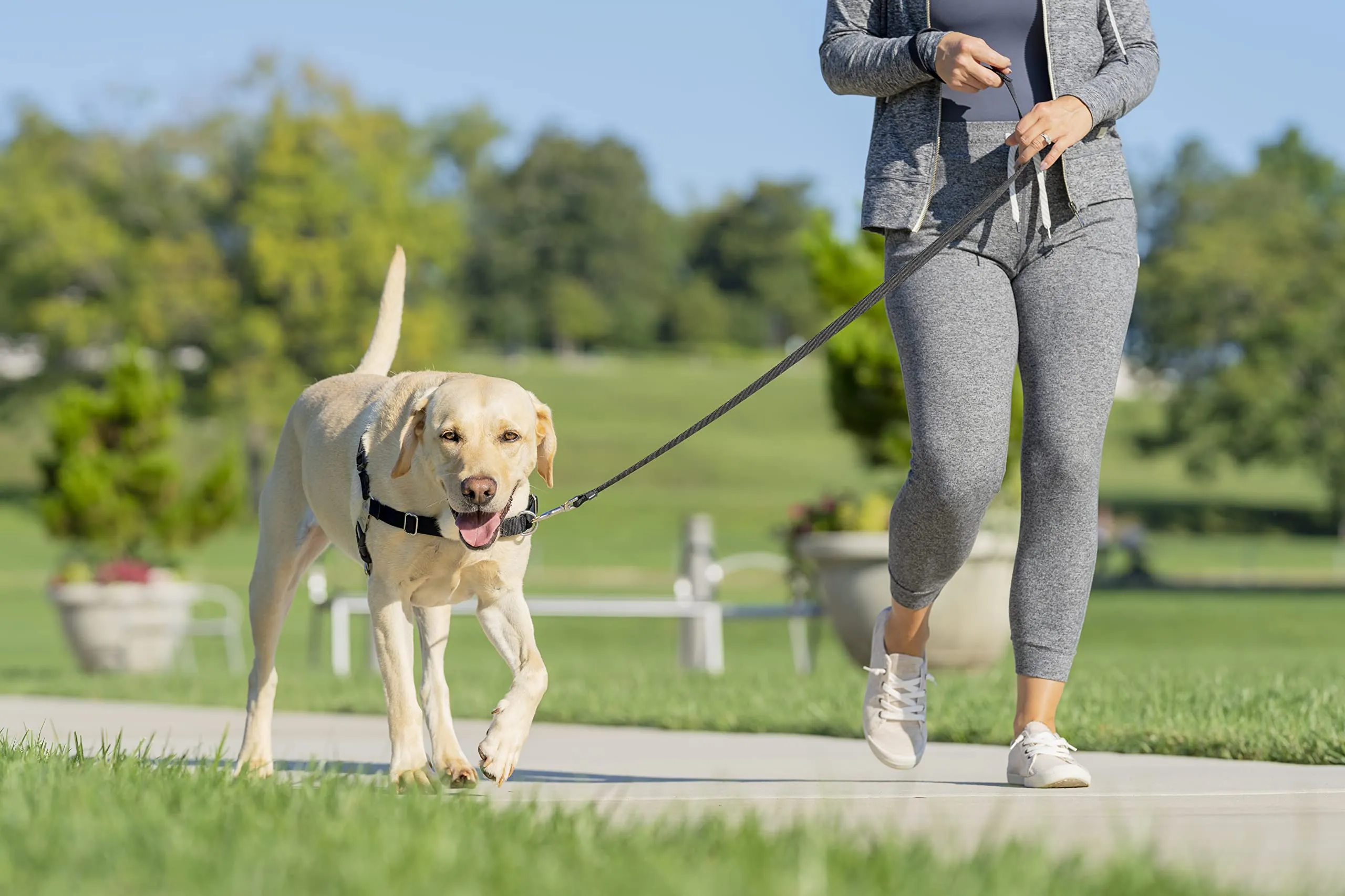 PetSafe Easy Walk Pettorina Anti-Tiro per Cani, Nero, XL - immagine 7