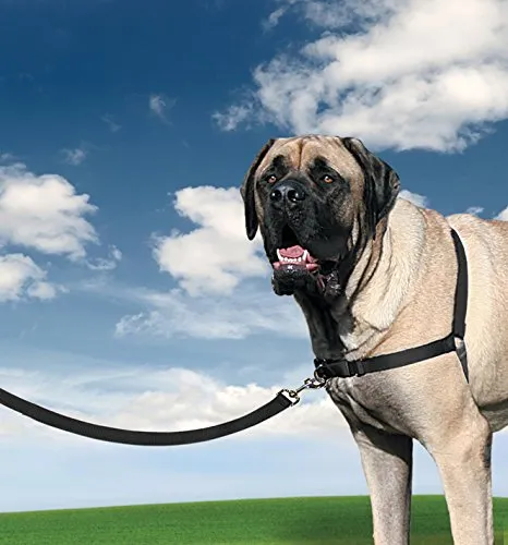 PetSafe Easy Walk Pettorina Anti-Tiro per Cani, Nero, XL - immagine 8