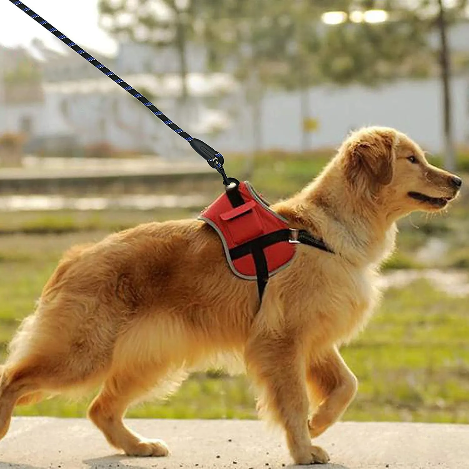Candure Guinzaglio per Cani in Nylon Riflettente con Impugnatura Imbottita, 152 cm, Nero - immagine 6