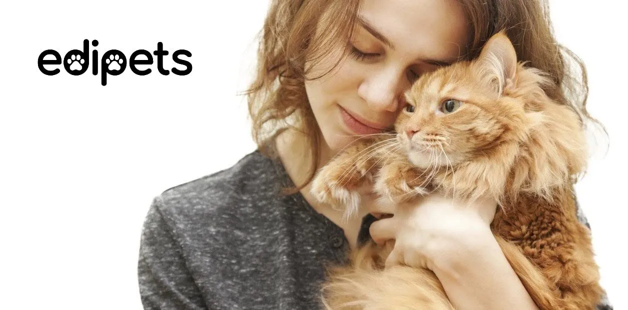 Edipets Ciotole per Gatti Rialzate per Acqua e Cibo, Trasparente - immagine 6