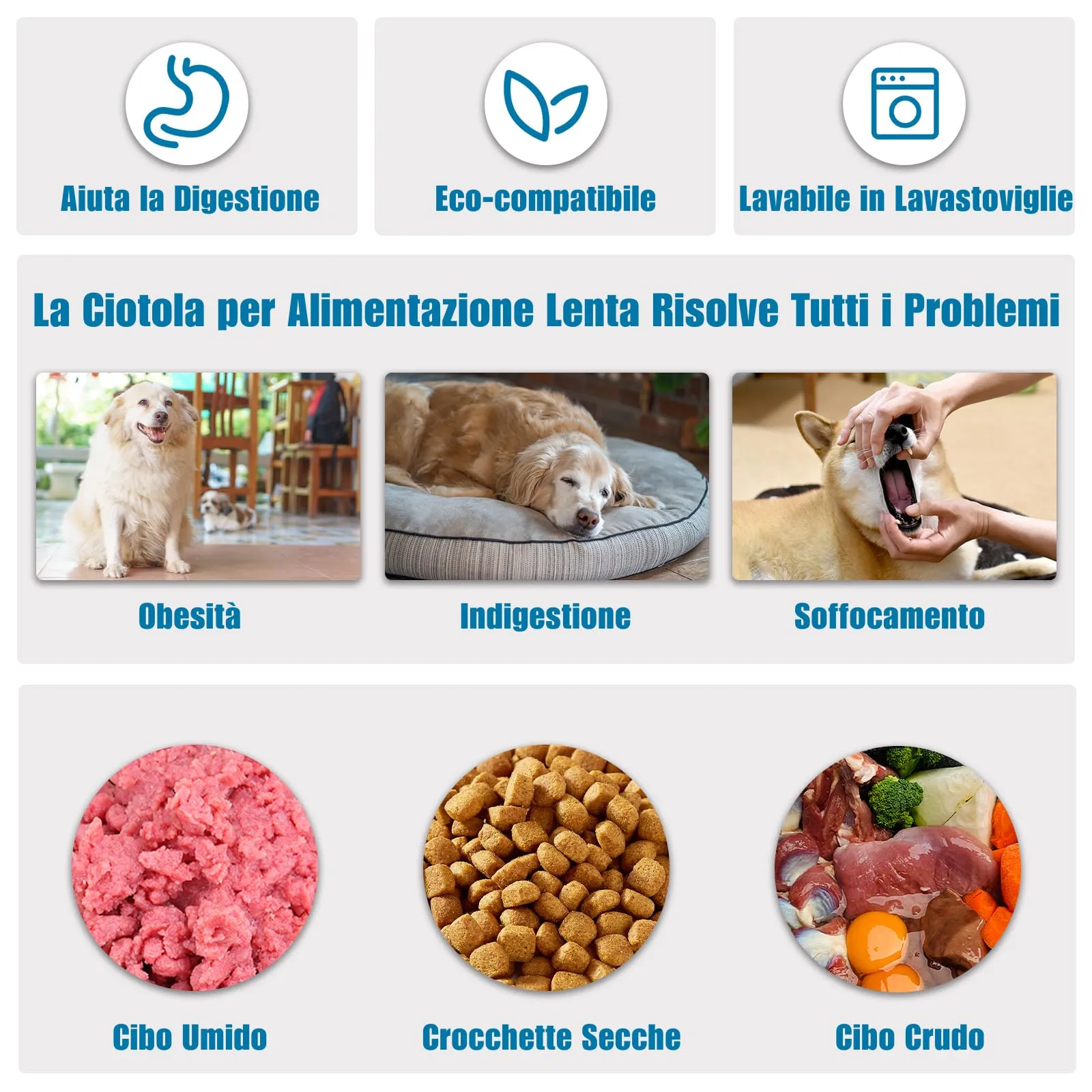 TOKAYIFE Ciotola Anti-Ingozzamento per Cani e Gatti, 27.1cm, Blu, Taglia L - immagine 4