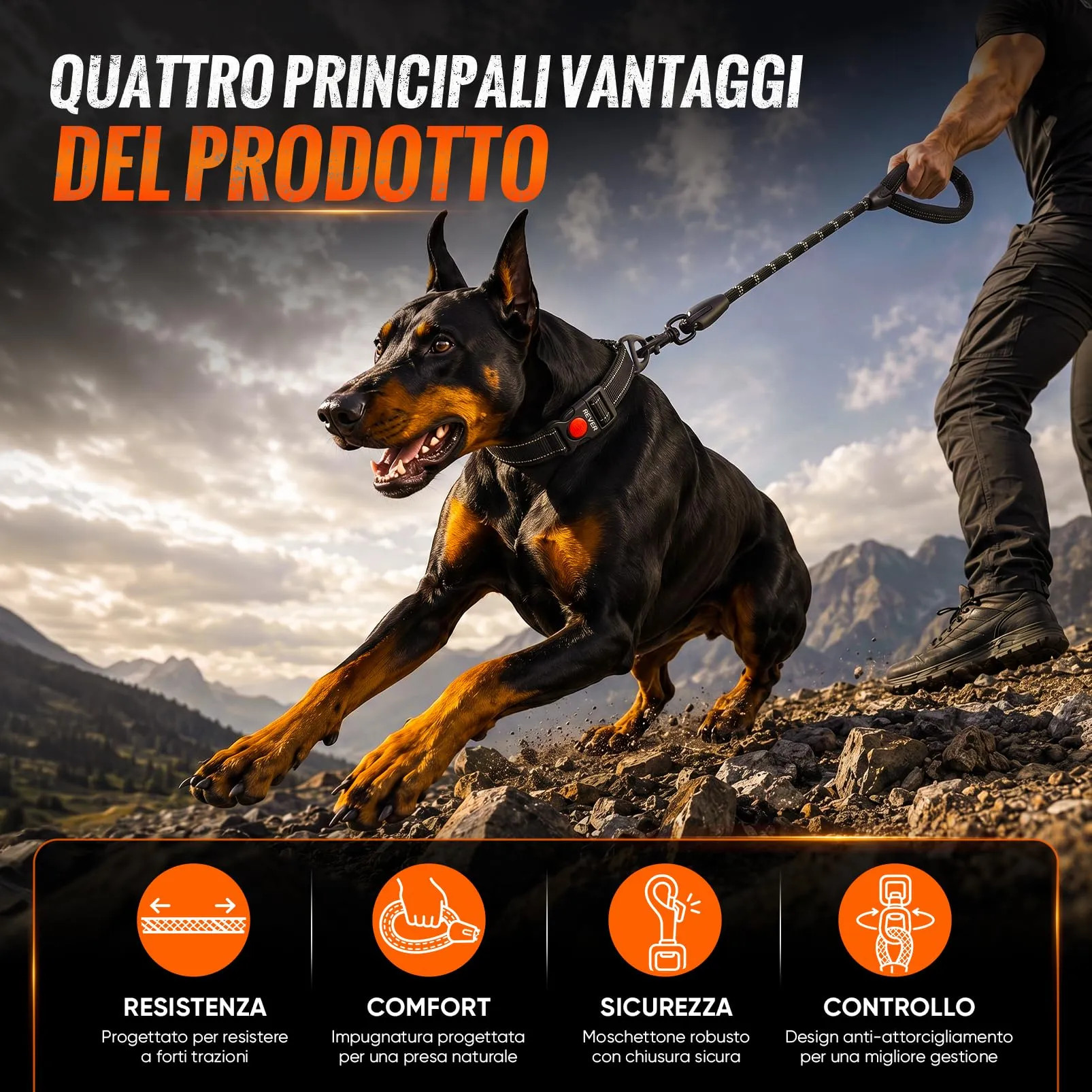 REVER Guinzaglio per Cani in Nylon, 150 cm, Nero - immagine 9