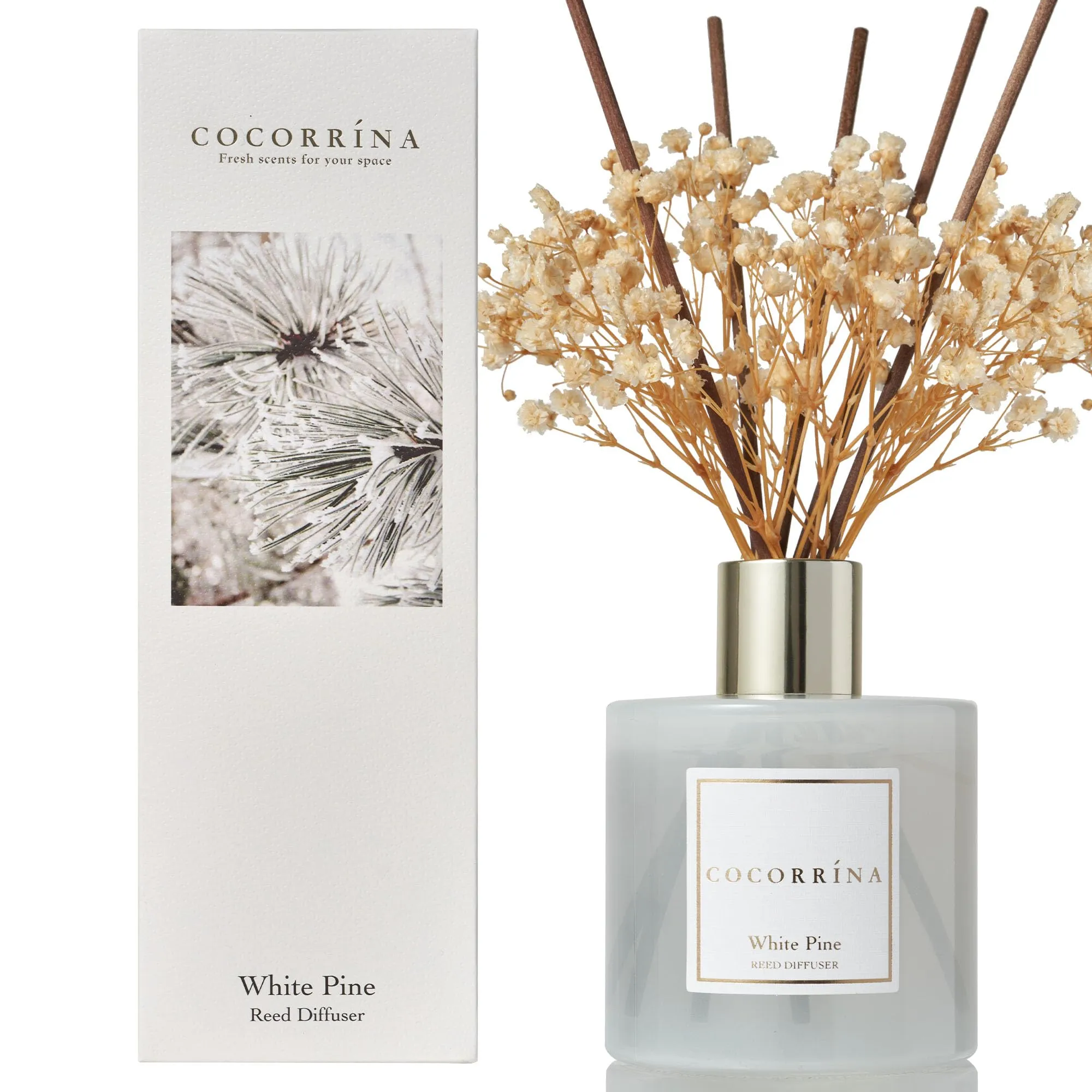Cocorrína White Pine Reed Diffuser Set - 200ml - immagine 1
