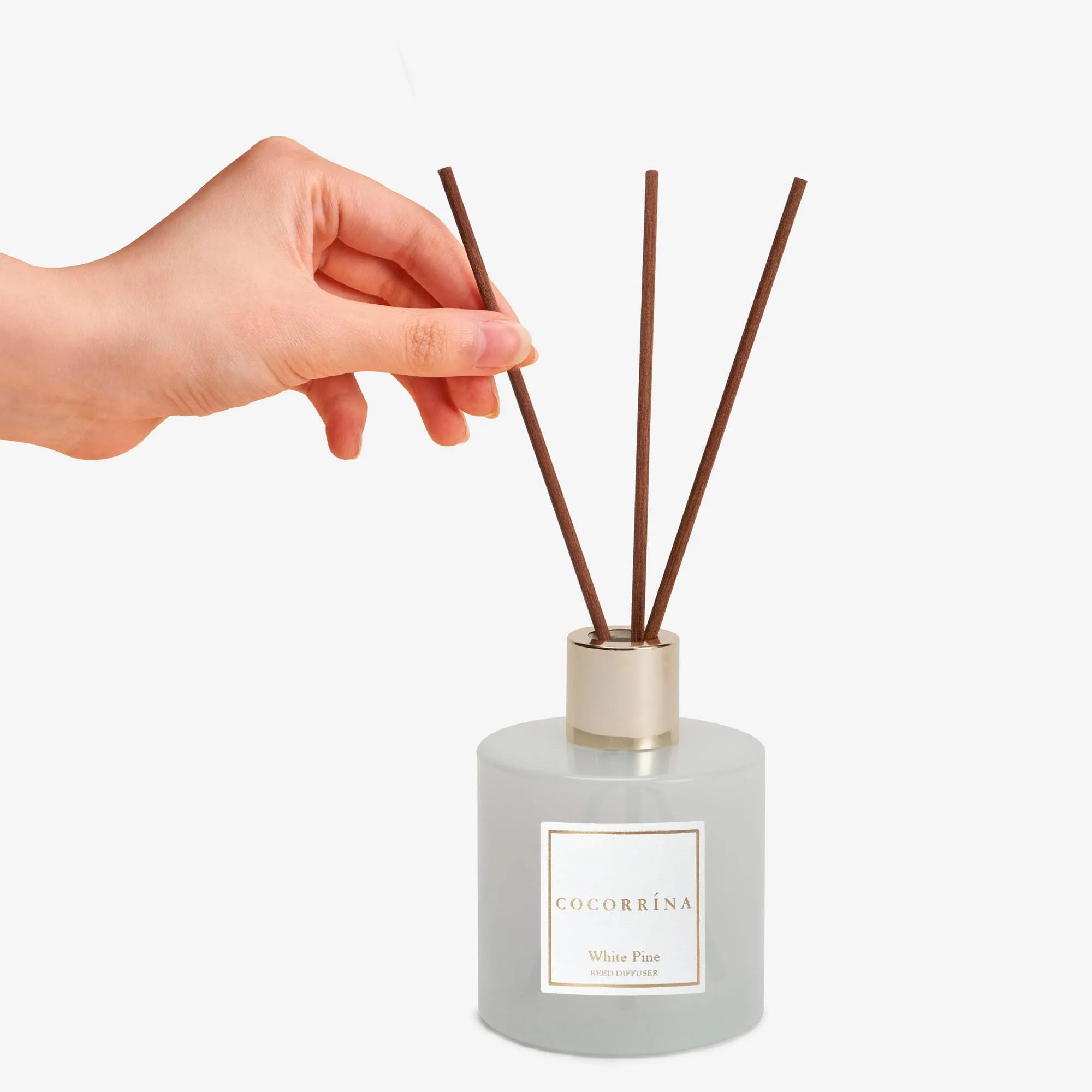 Cocorrína White Pine Reed Diffuser Set - 200ml - immagine 3