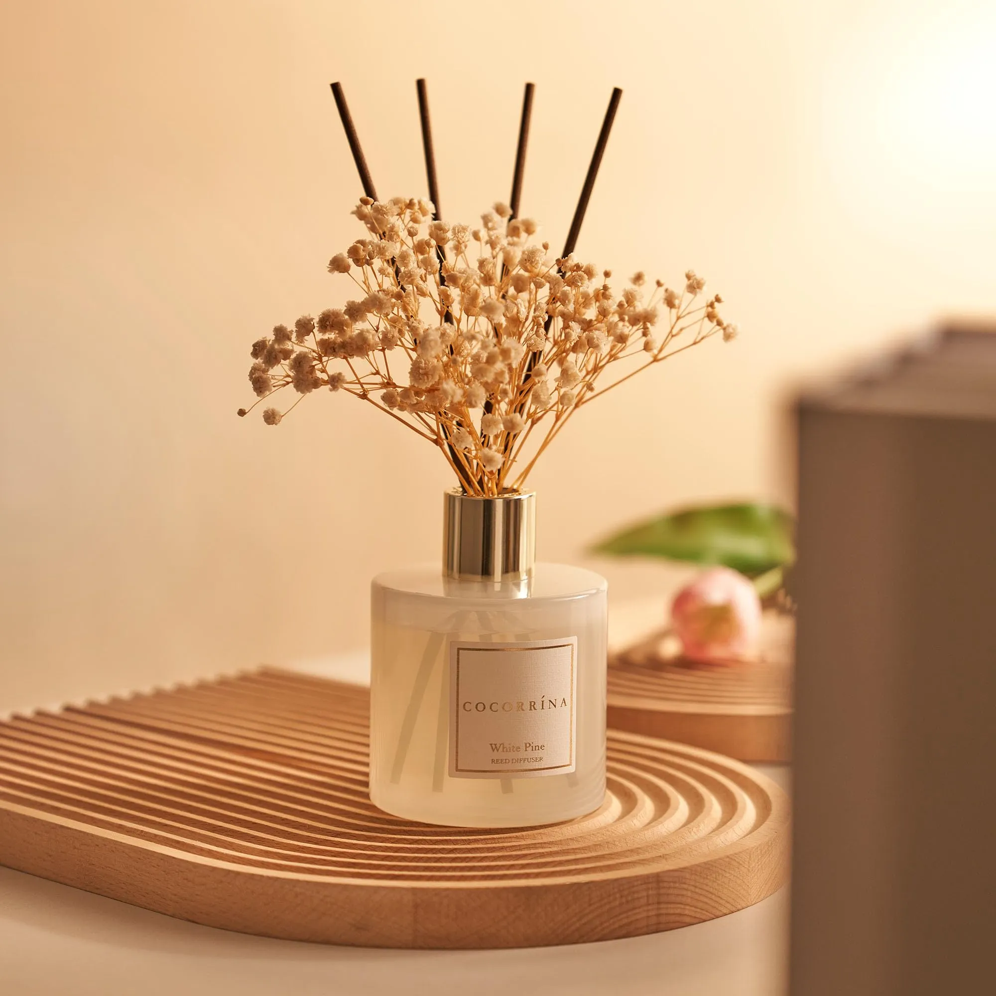 Cocorrína White Pine Reed Diffuser Set - 200ml - immagine 5