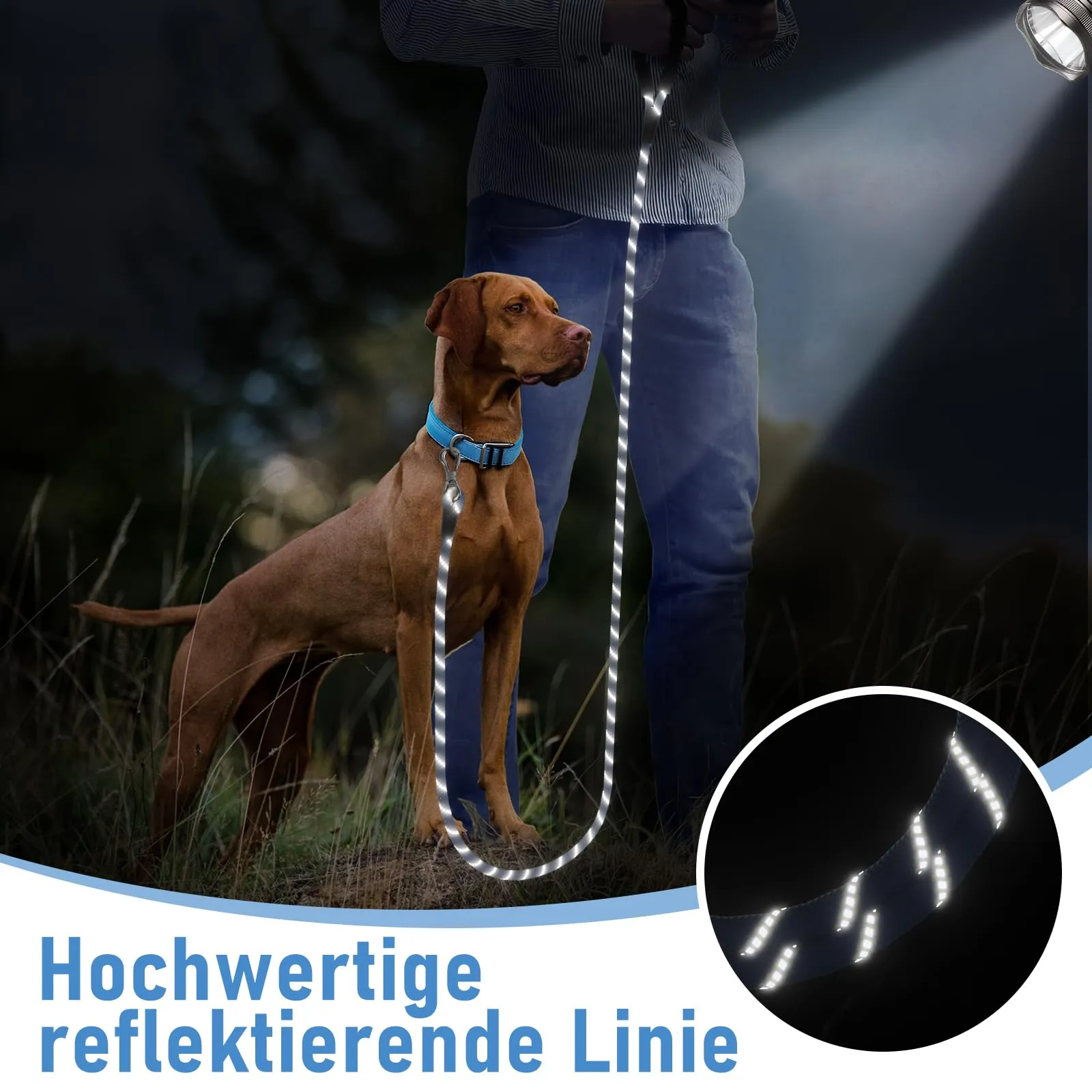 X XBEN Guinzaglio per Cani in Nylon, 5M x 8mm con Gancio di Sicurezza e Maniglia Imbottita - immagine 6
