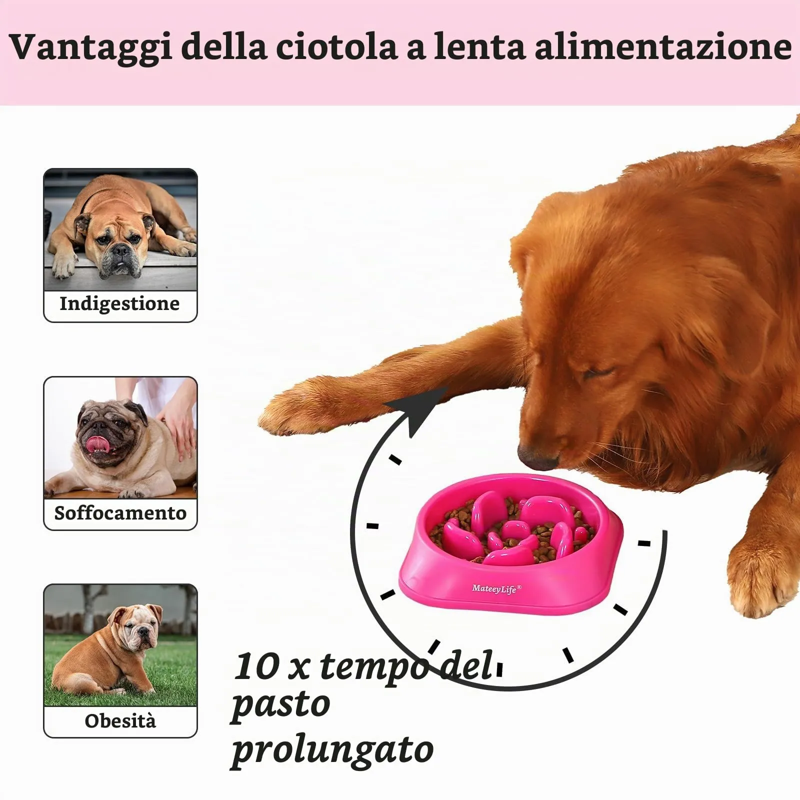 MateeyLife Ciotola per cani con alimentazione lenta, puzzle anti-soffocamento per cani di piccola e media taglia, lilla - immagine 2