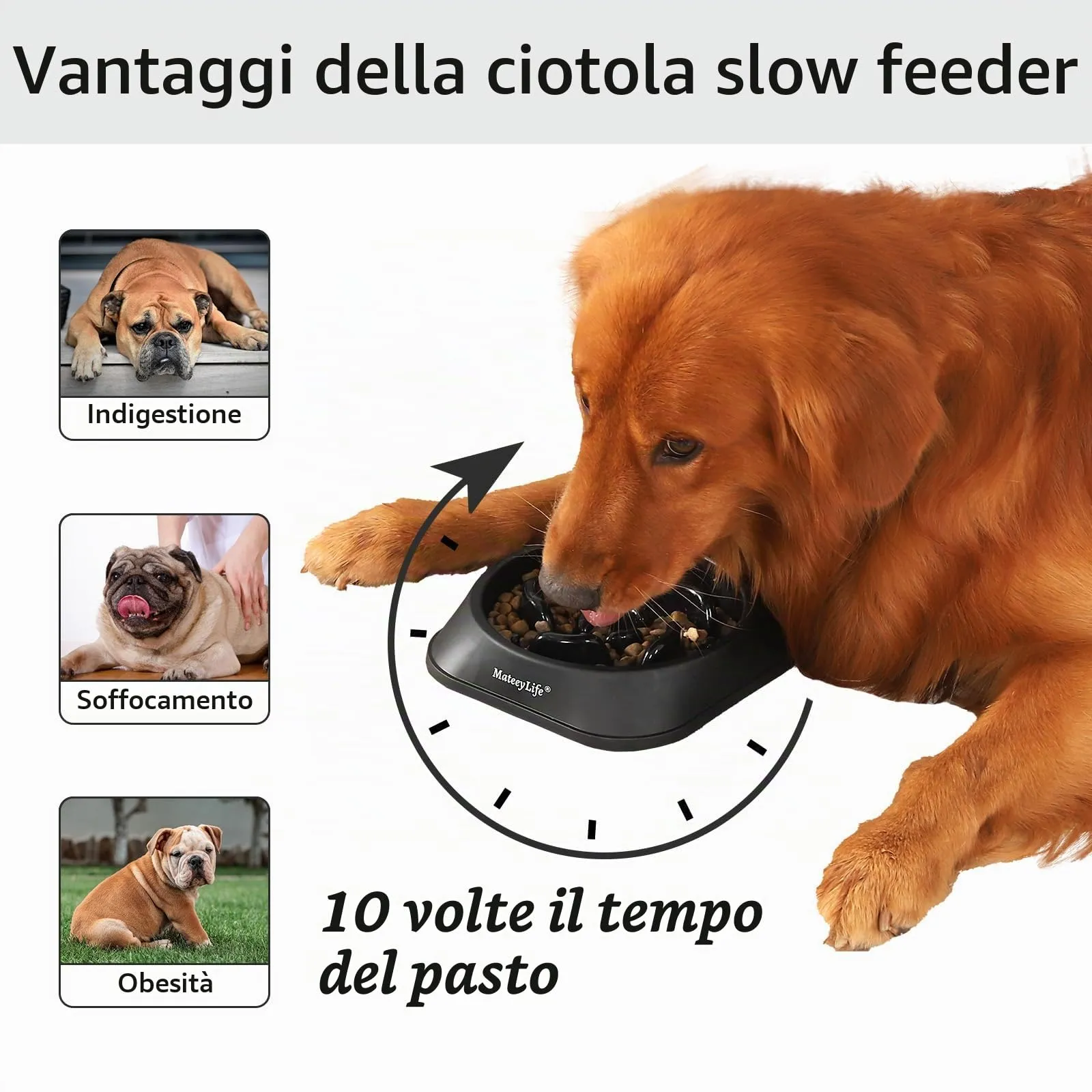 MateeyLife Ciotola Anti Ingozzamento per Cani di Taglia Media e Grande, Nero 20 cm - immagine 2