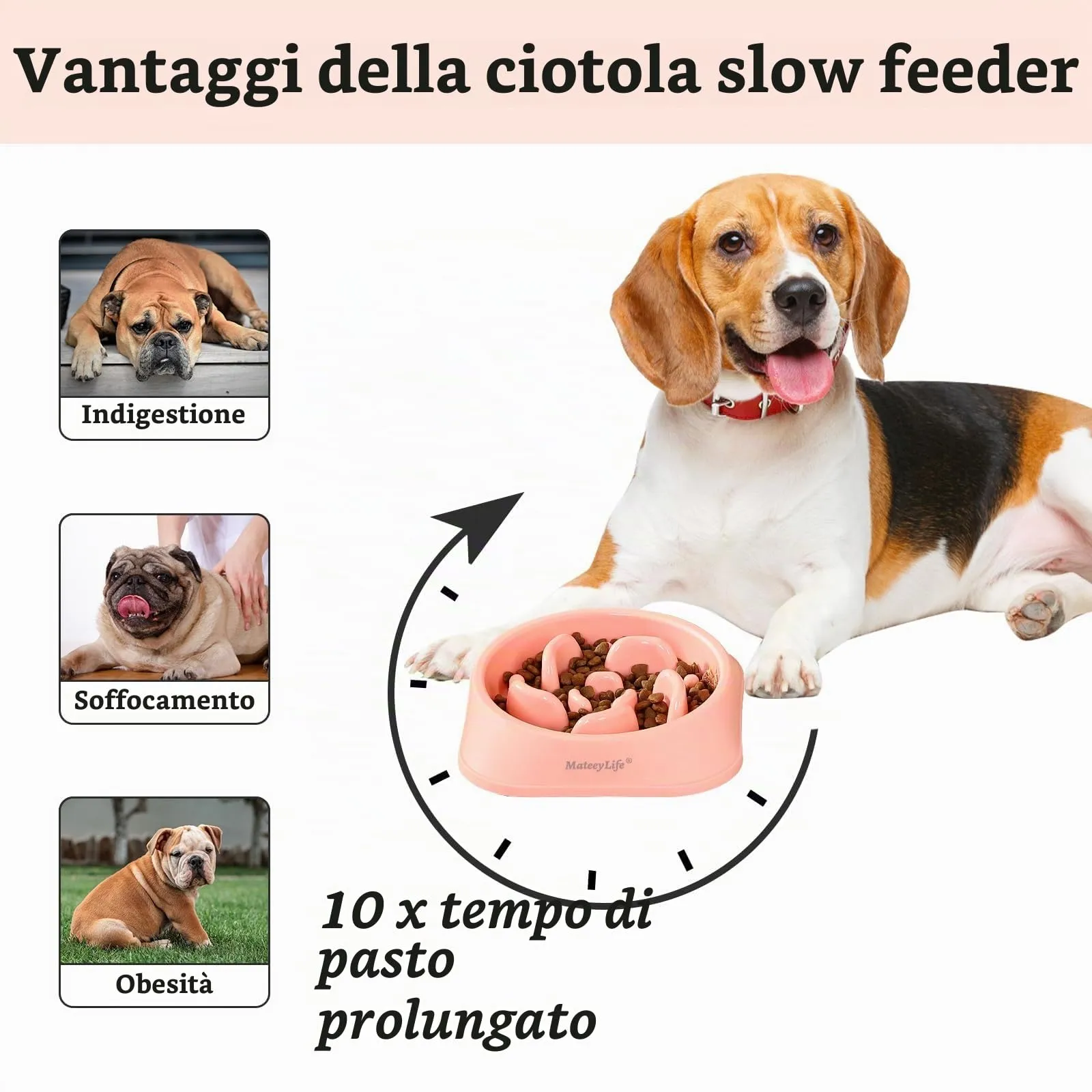 MateeyLife Ciotola per cani con alimentazione lenta antiscivolo Bloat Stop Labirinto, Taglia Media - immagine 2