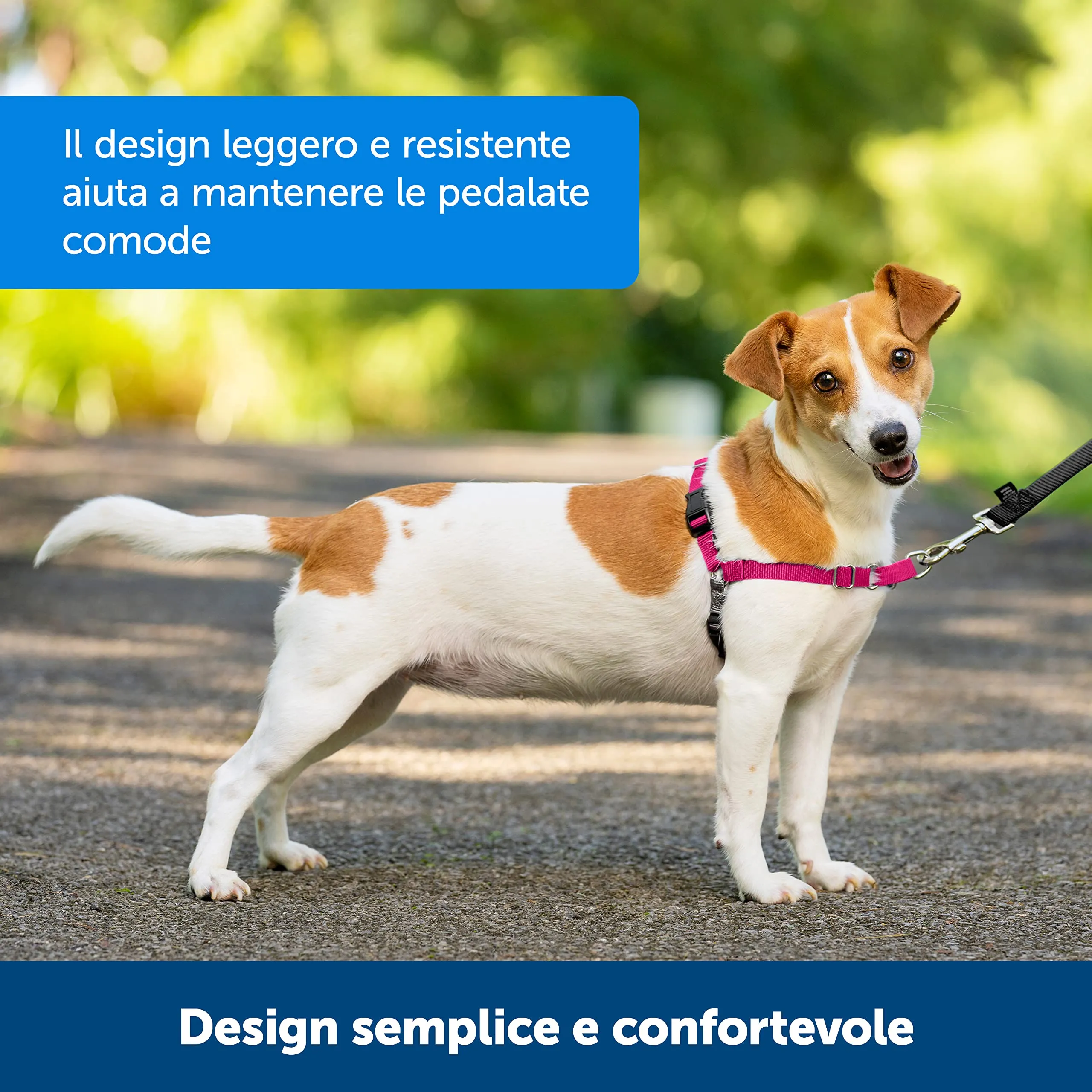 PetSafe Easy Walk Harness, Medium, Red - immagine 6