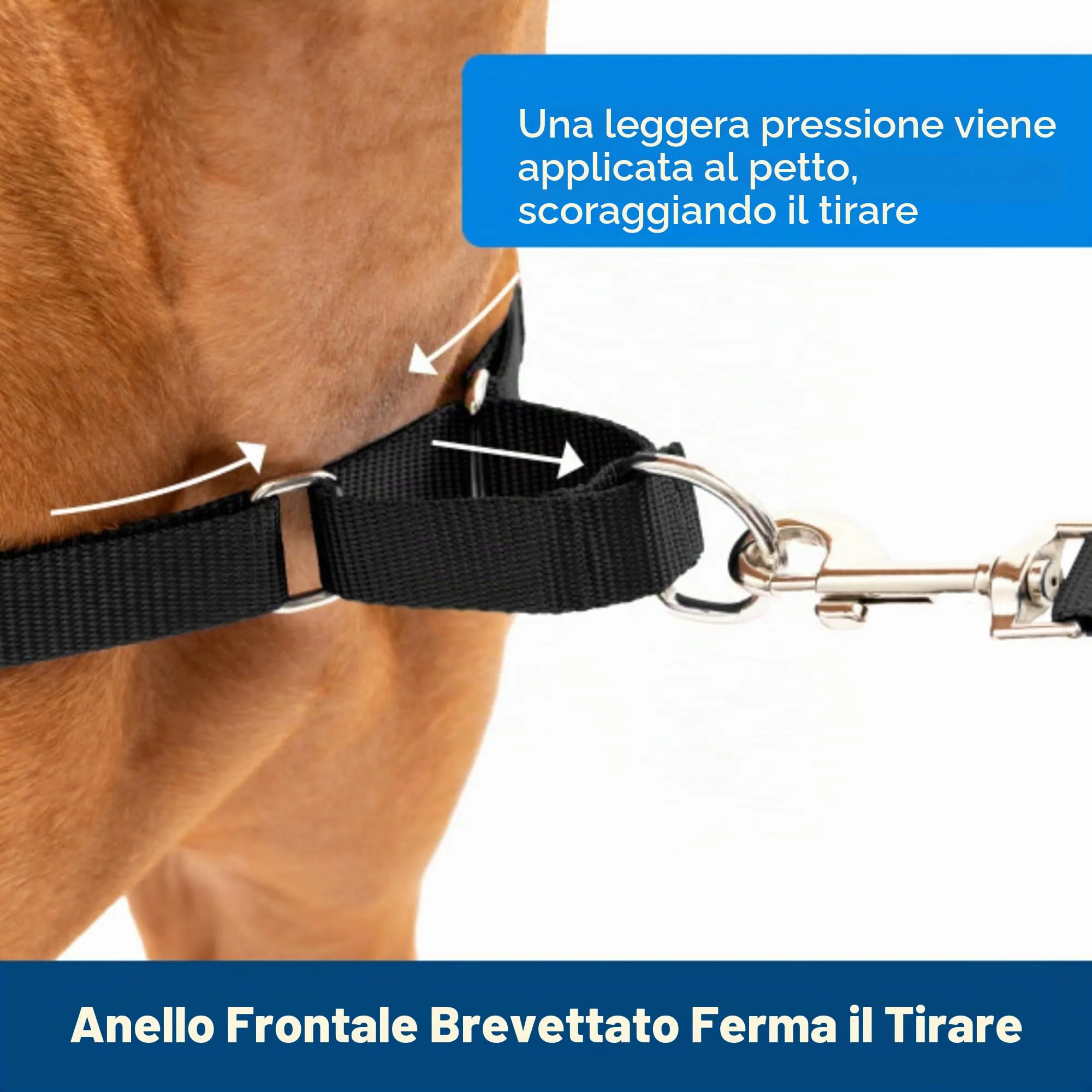 PetSafe Easy Walk Guinzaglio per cani, Small, Rosso - immagine 2