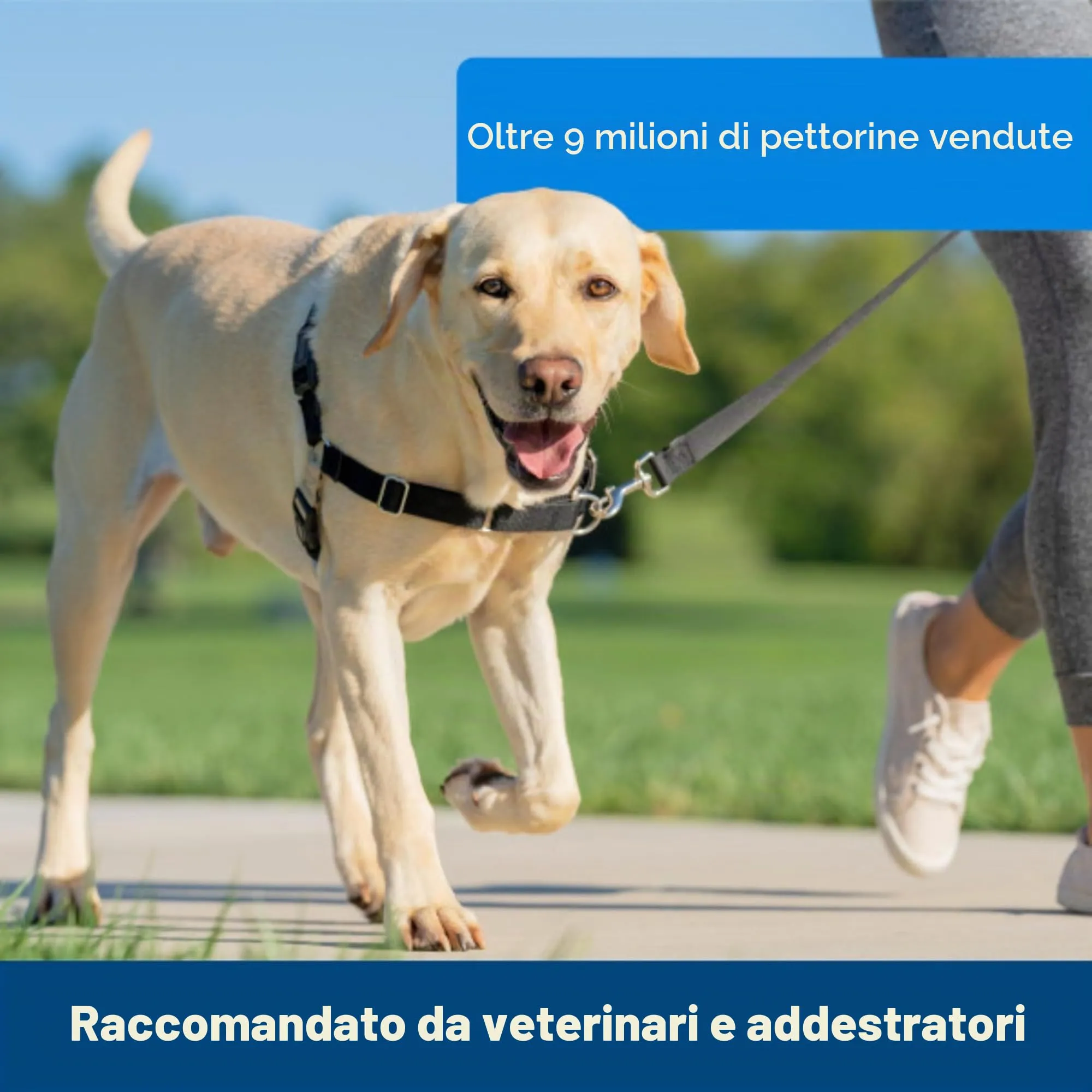 PetSafe Easy Walk Guinzaglio per cani, Small, Rosso - immagine 7