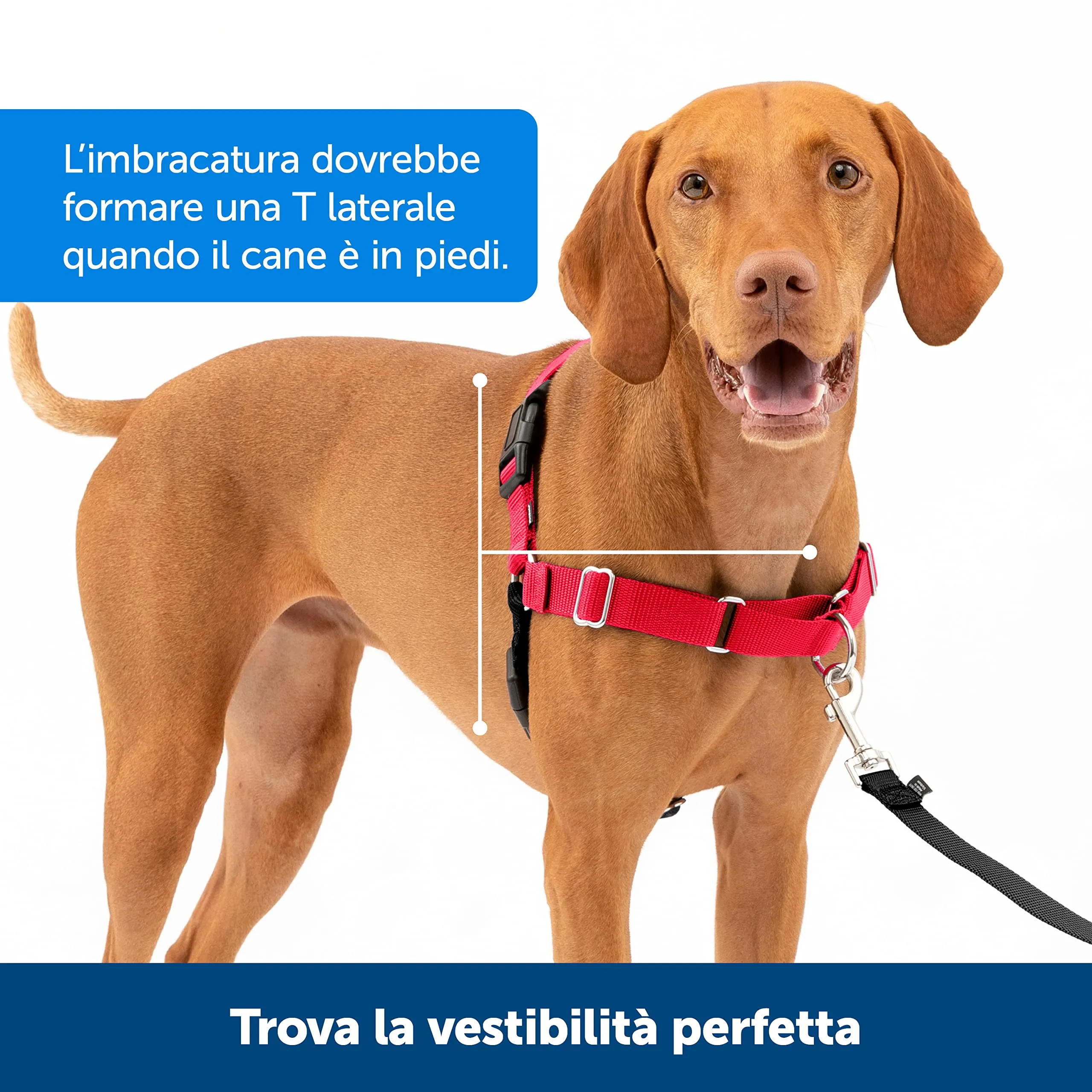 PetSafe Easy Walk Pettorina Anti-Tiro per Cani, Lampone, M - immagine 4