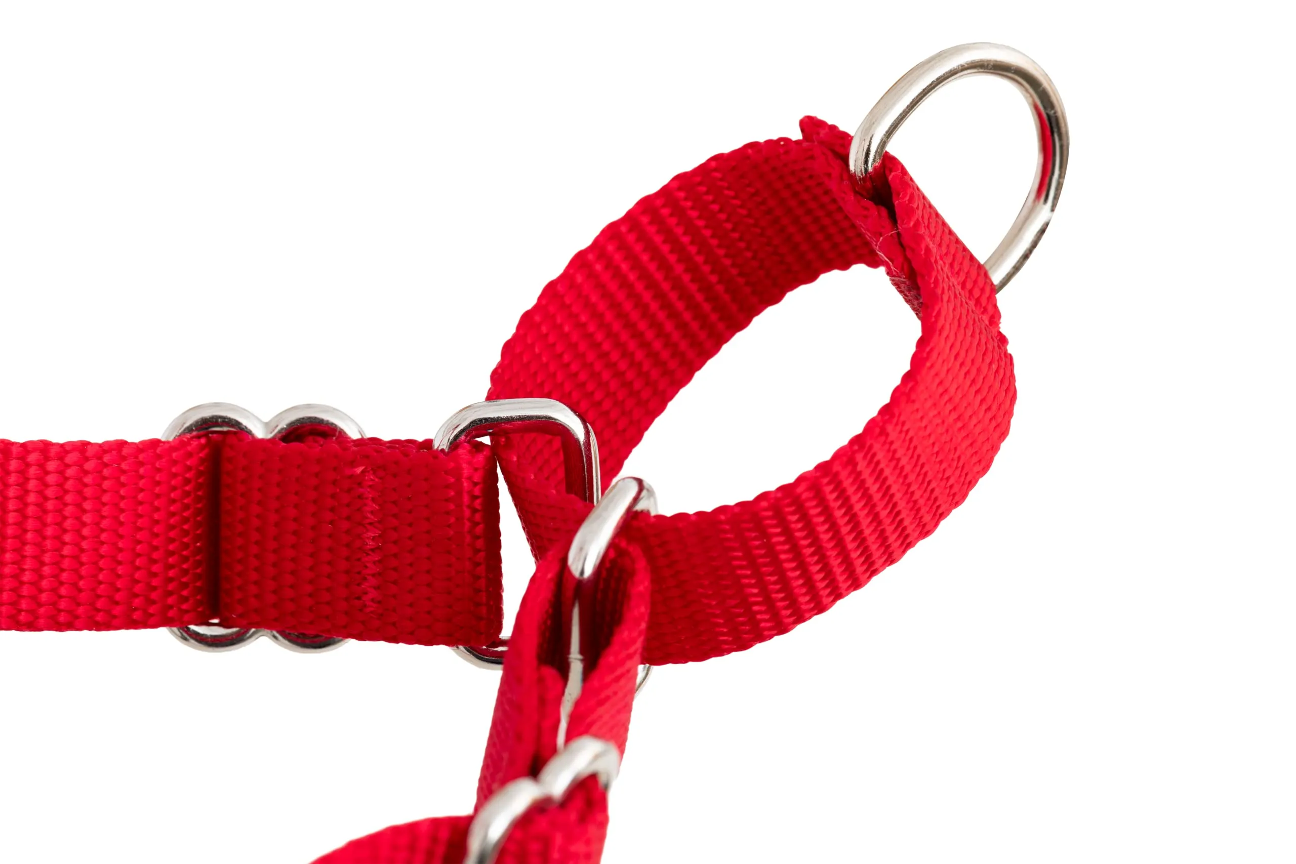 PetSafe Easy Walk Pettorina Anti-Tiro per Cani, Lampone, M - immagine 9